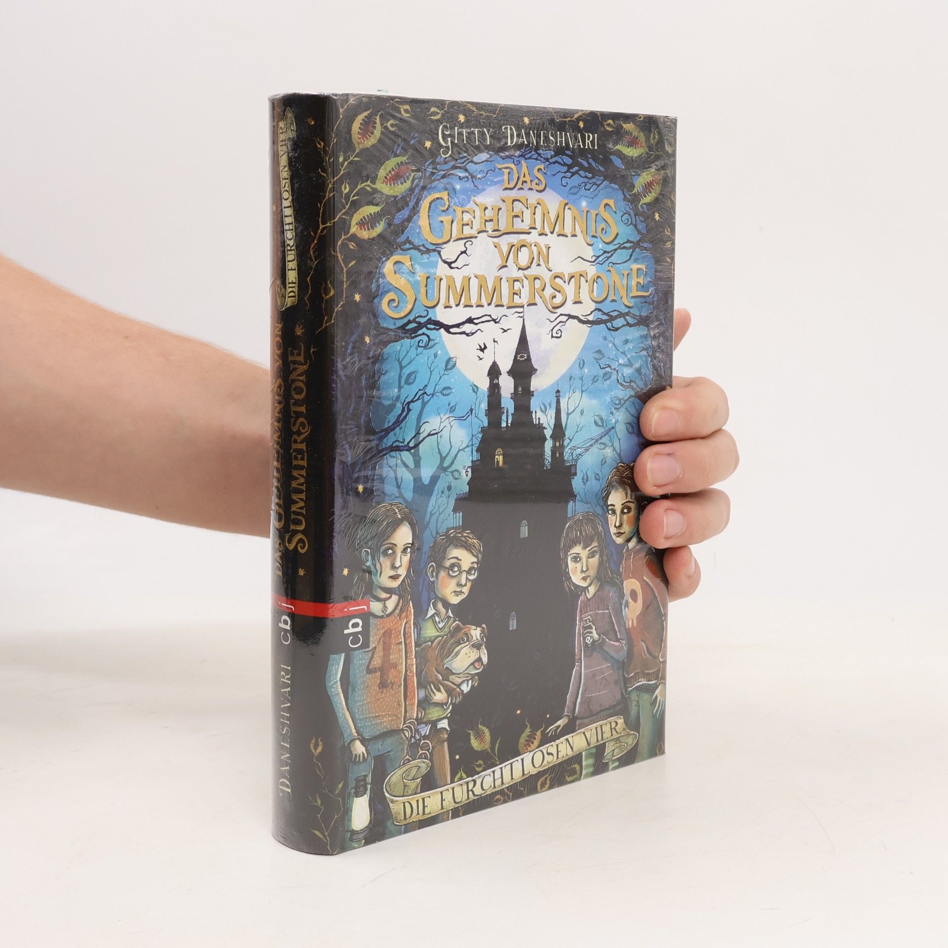 Gitty Daneshvari Das Geheimnis von Summerstone: Die furchtlosen Vier