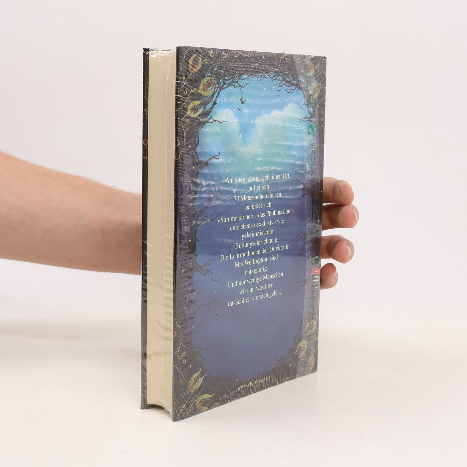 Gitty Daneshvari Das Geheimnis von Summerstone: Die furchtlosen Vier