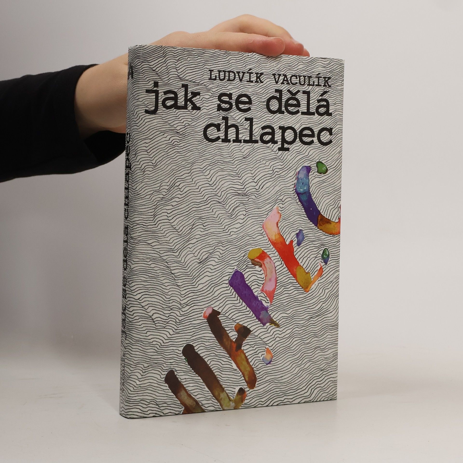 Ludvík Vaculík Jak se dělá chlapec