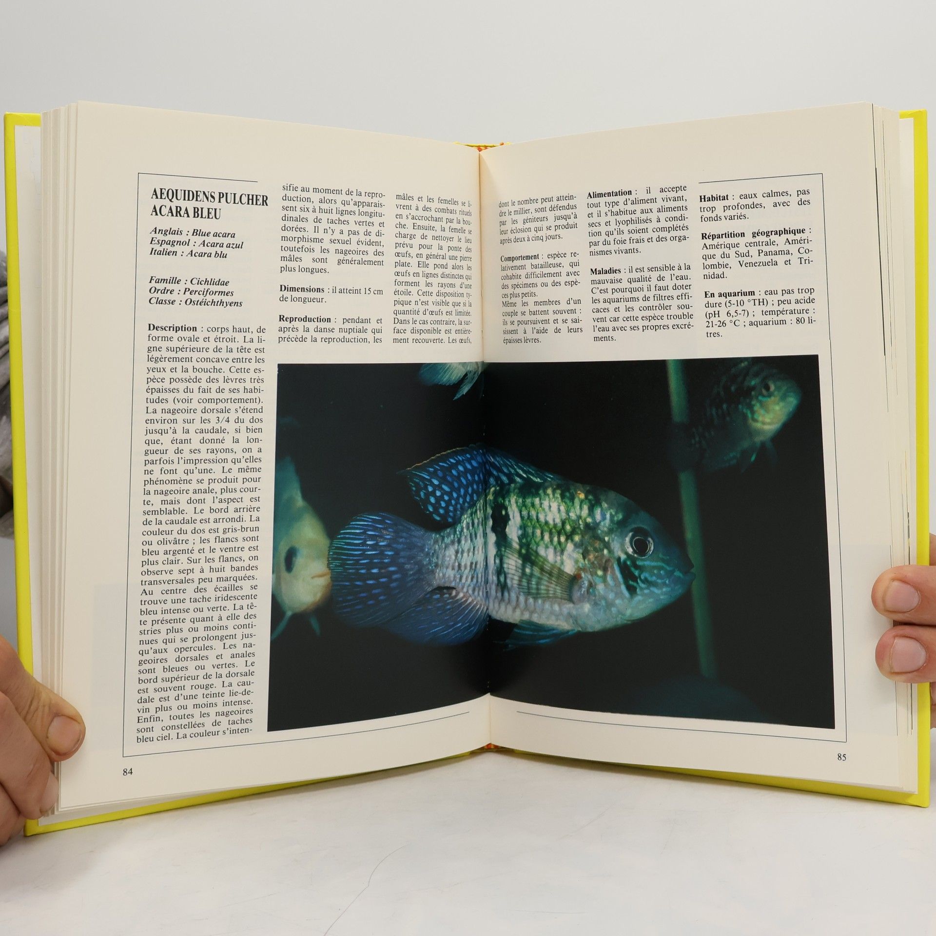 Encyclopédie des poissons d'aquarium d'eau (Animaux)