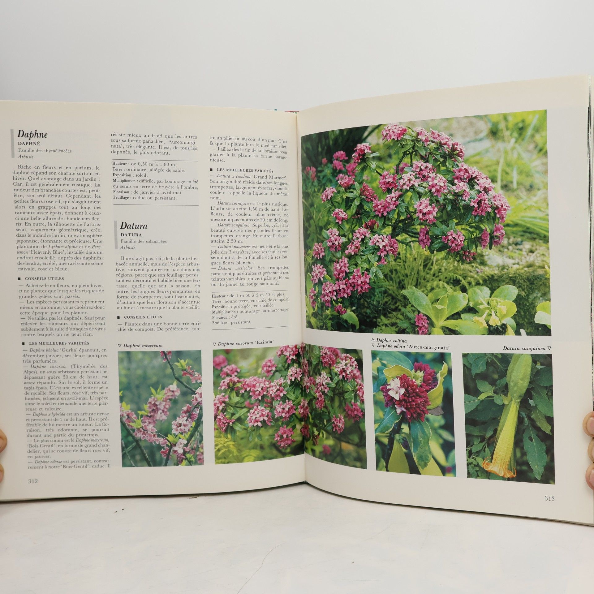 Anita Pereire ENCYCLOPEDIE PRATIQUE DU JARDIN