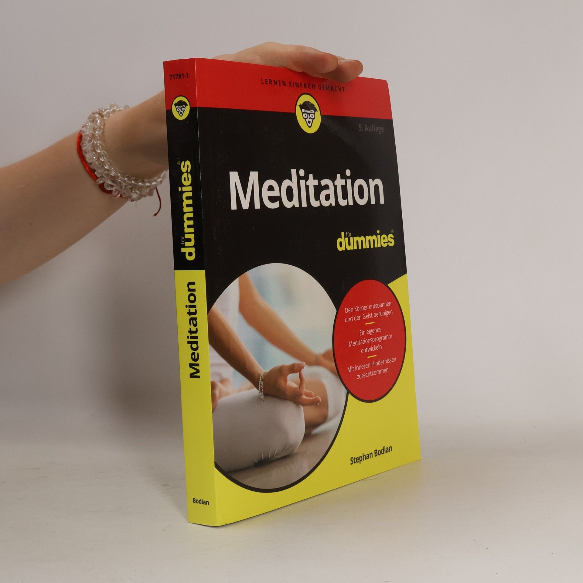 Stephan Bodian Meditation für Dummies