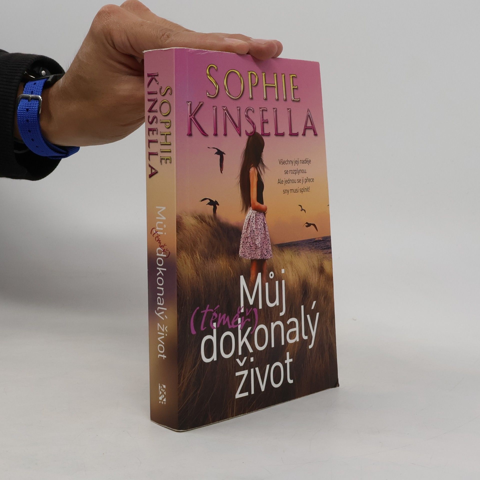 Sophie Kinsella Můj (téměř) dokonalý život
