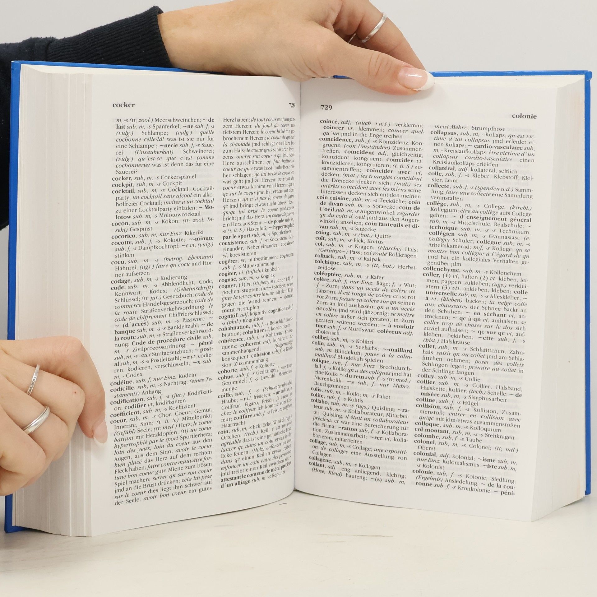 kolektiv Das große Wörterbuch Französisch/Deutsch Deutsch/Französisch