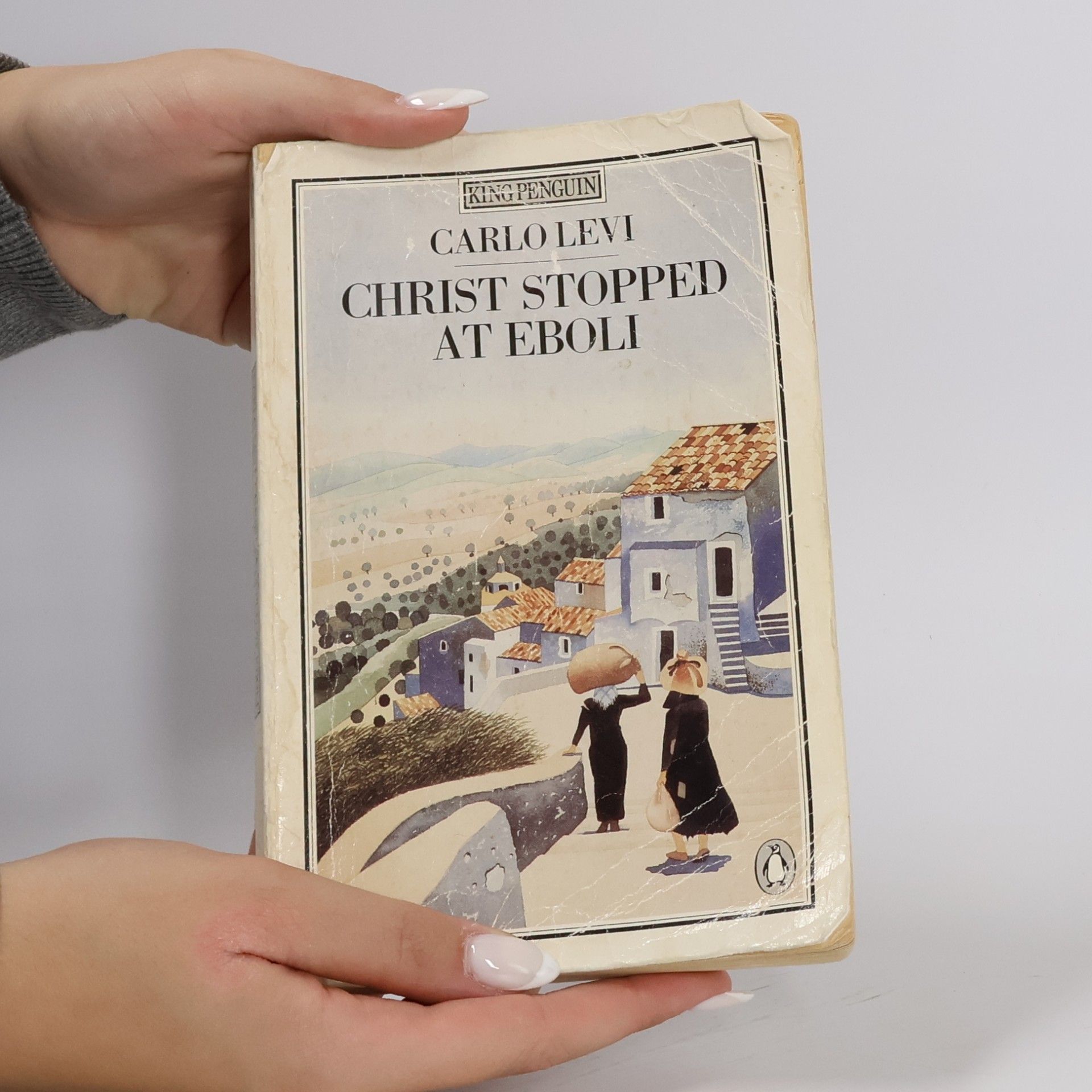 Carlo Levi Christ Stopped at Eboli