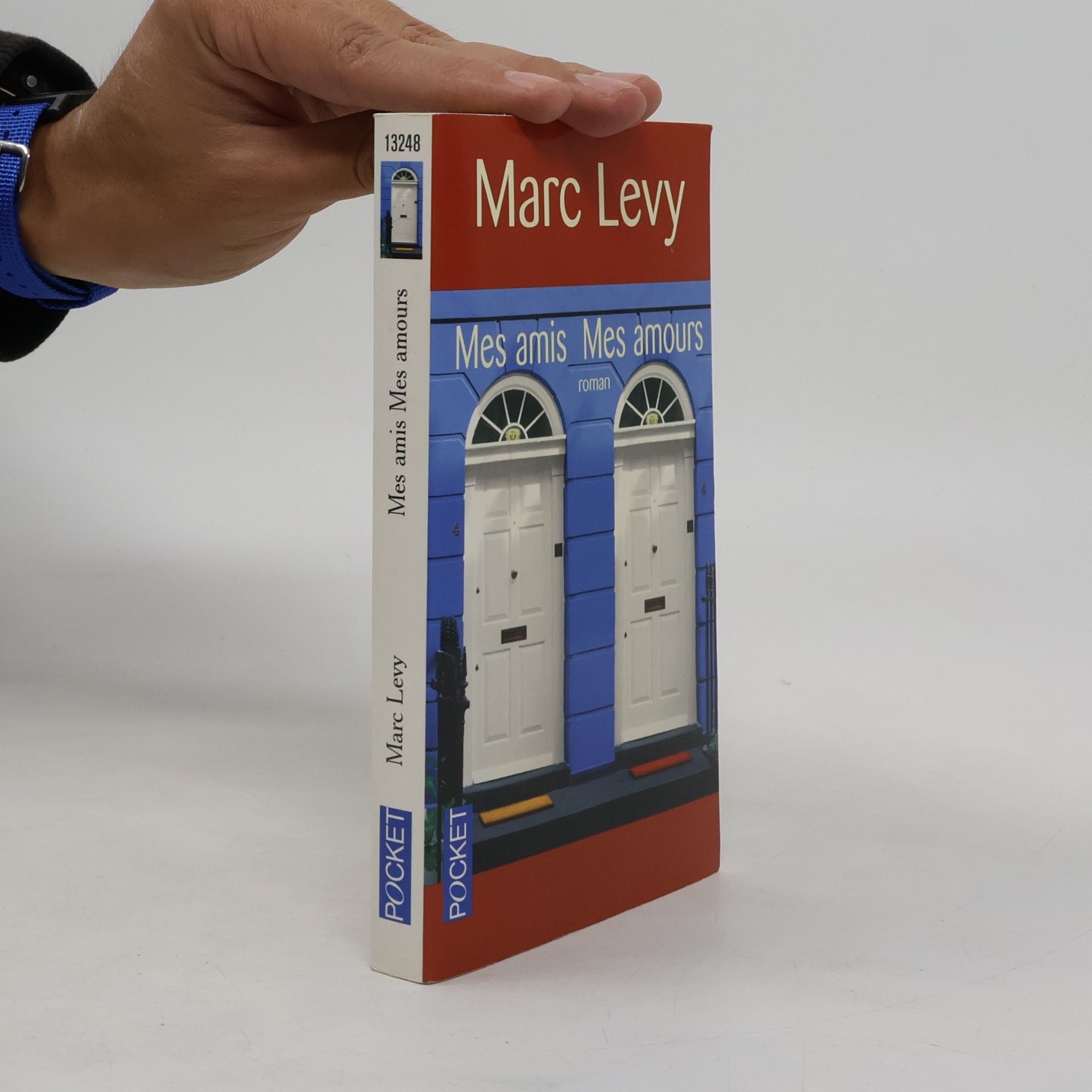 Marc Lévy Mes amis, mes amours