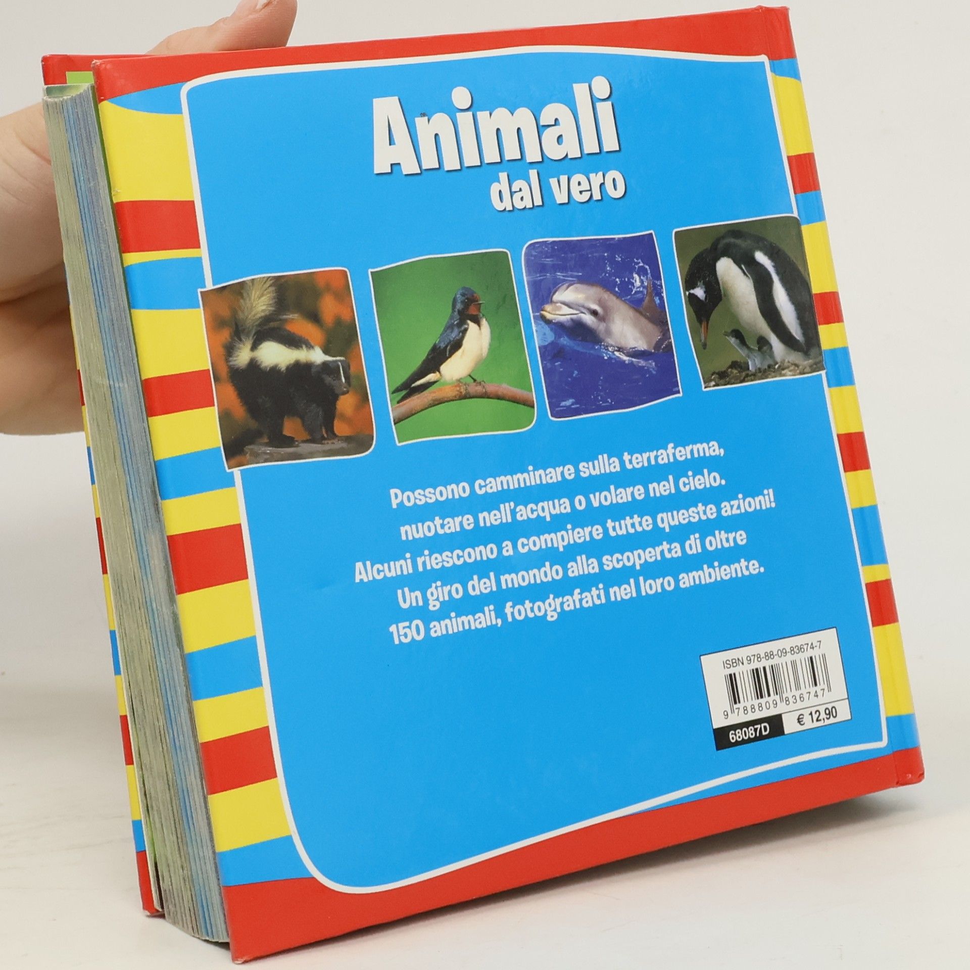 Emanuela Busa Animali dal vero