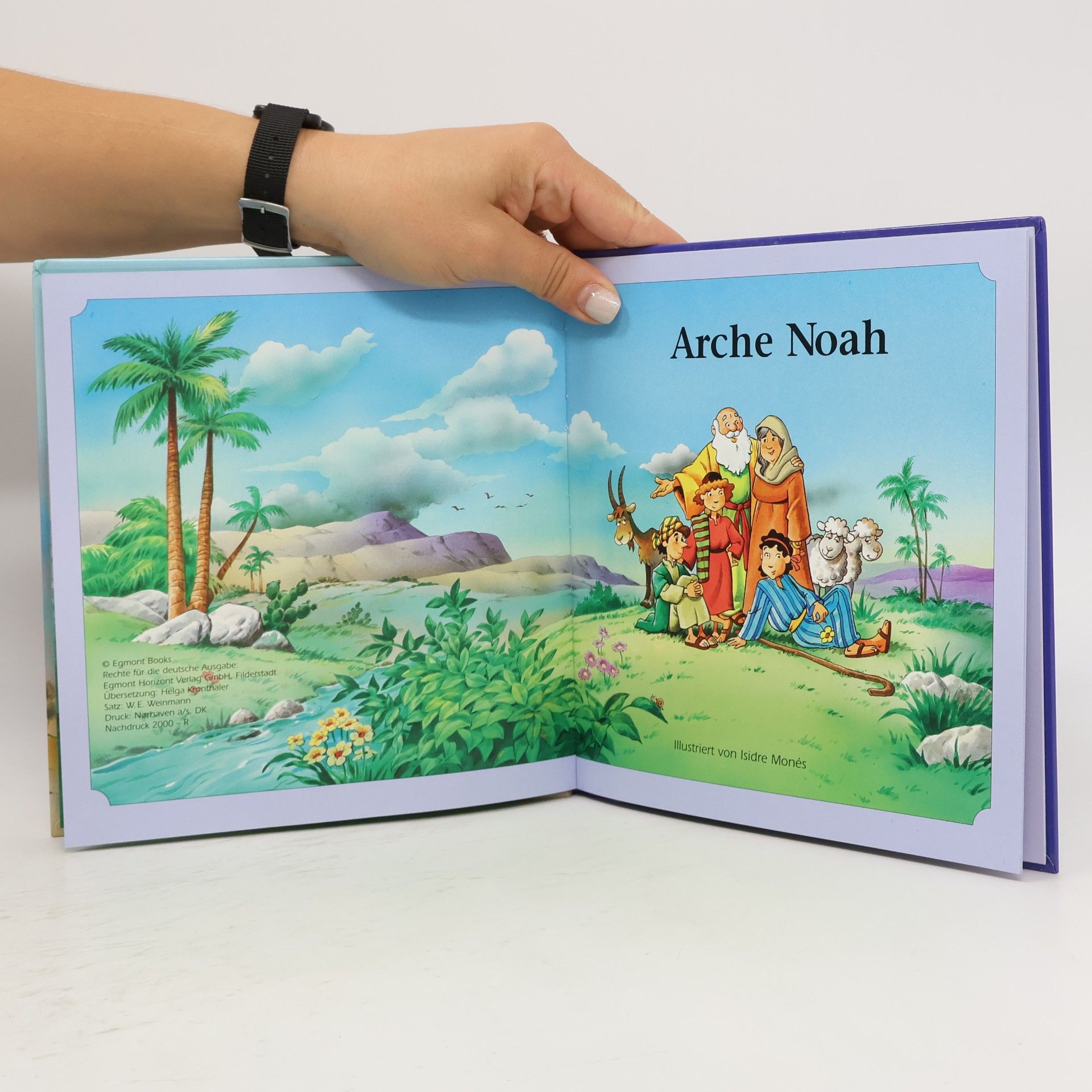kolektiv Arche Noah
