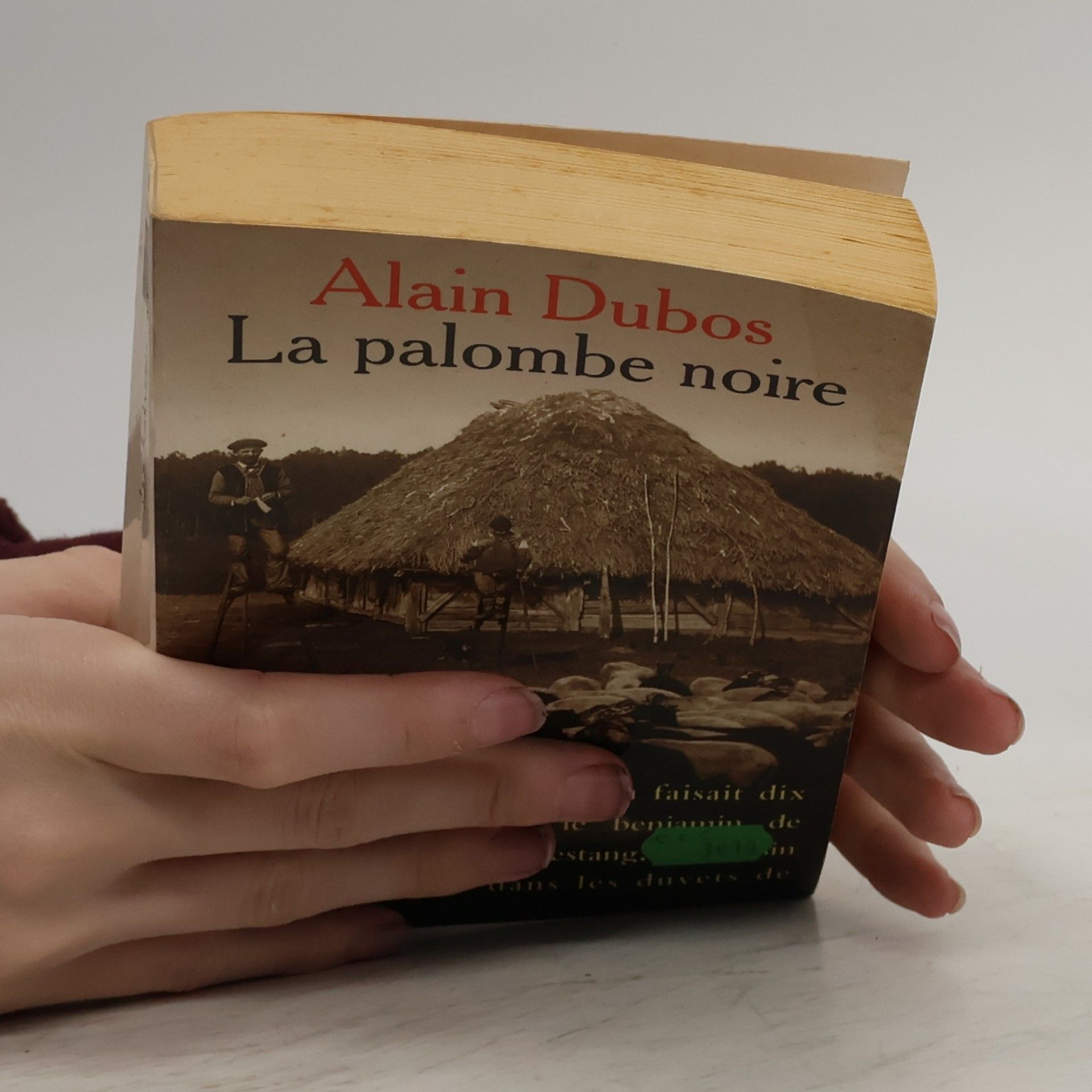 Alain Dubos La palombe noire
