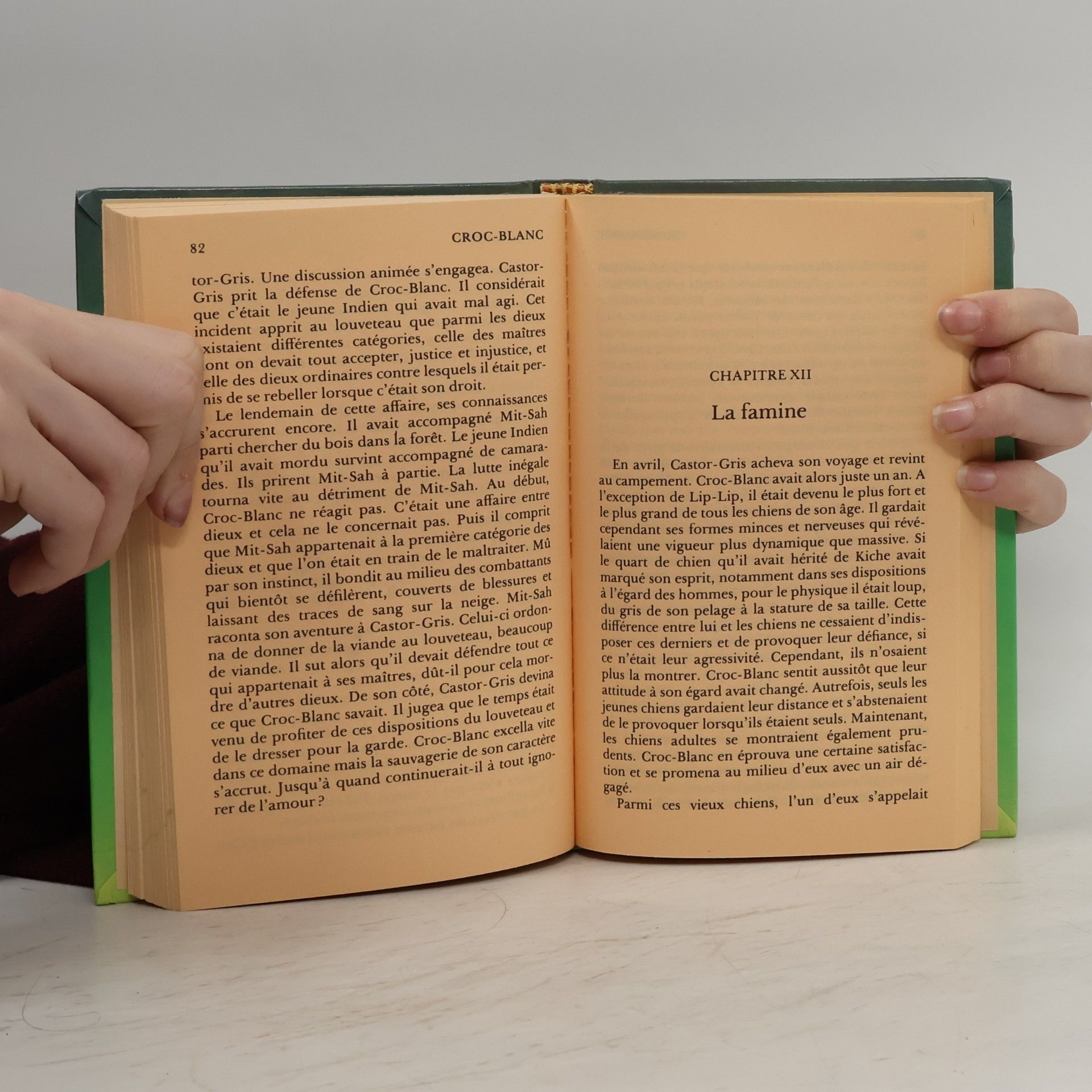 Alphonse Daudet Tartarin de Tarascon