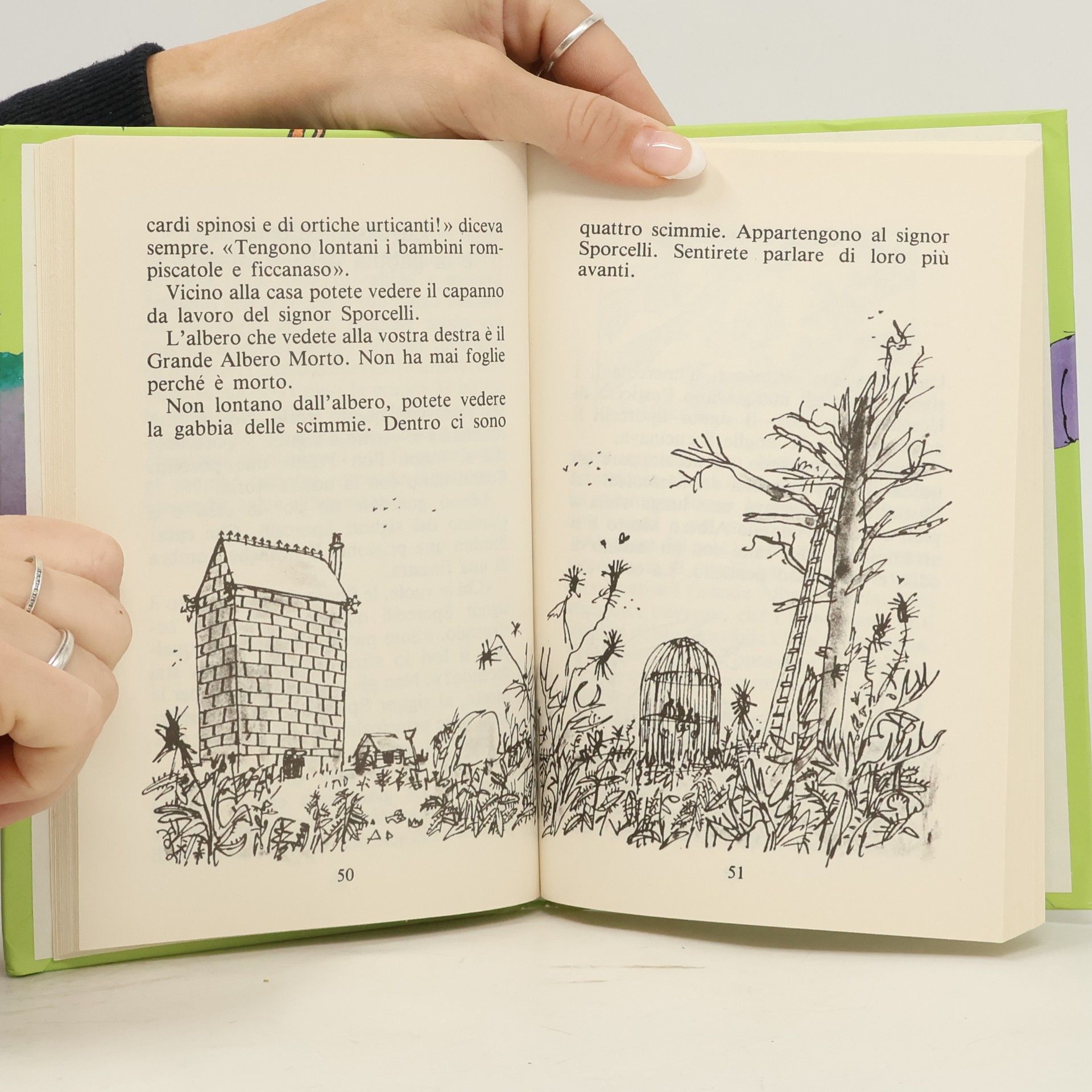 Roald Dahl Gli sporcelli
