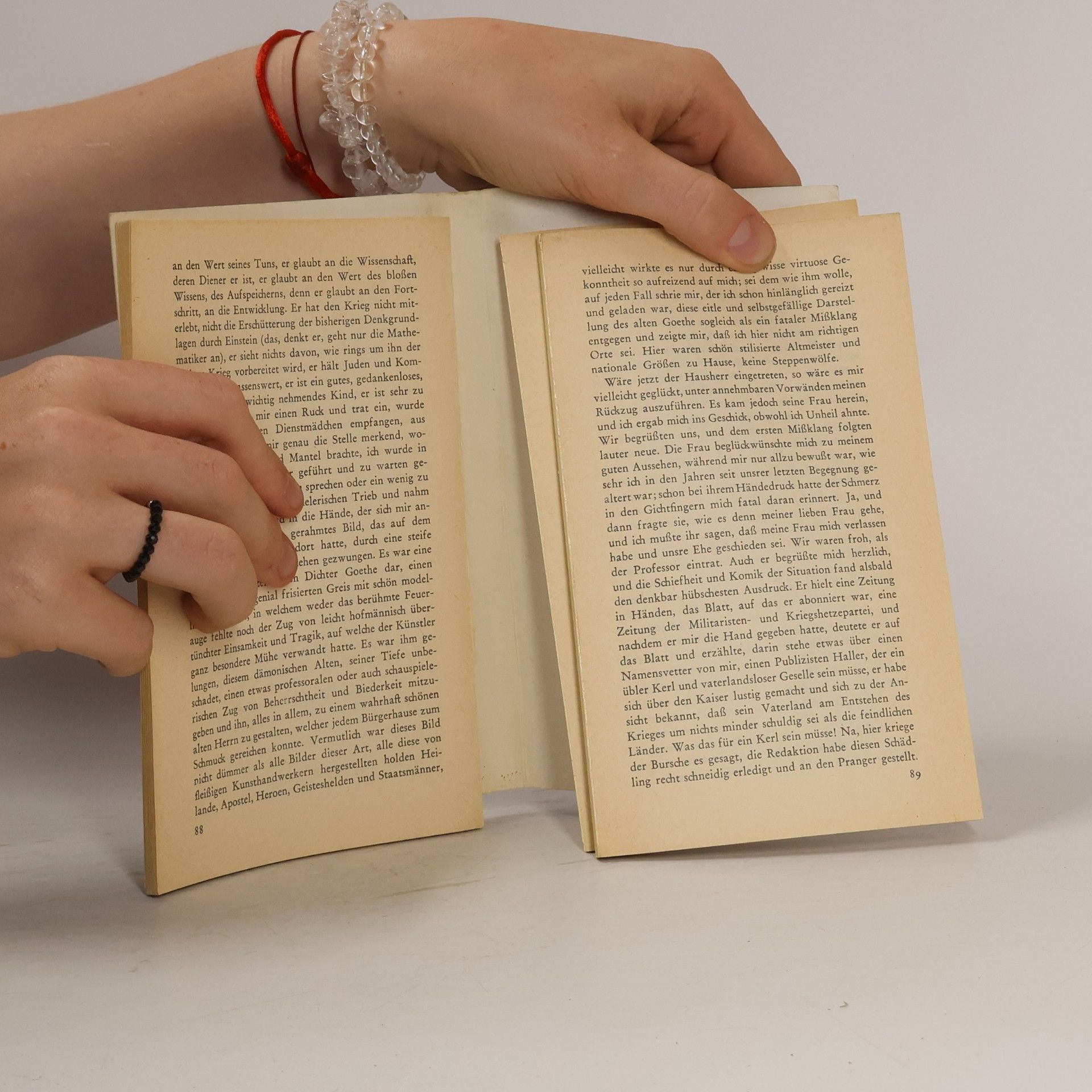 Hermann Hesse Der Steppenwolf