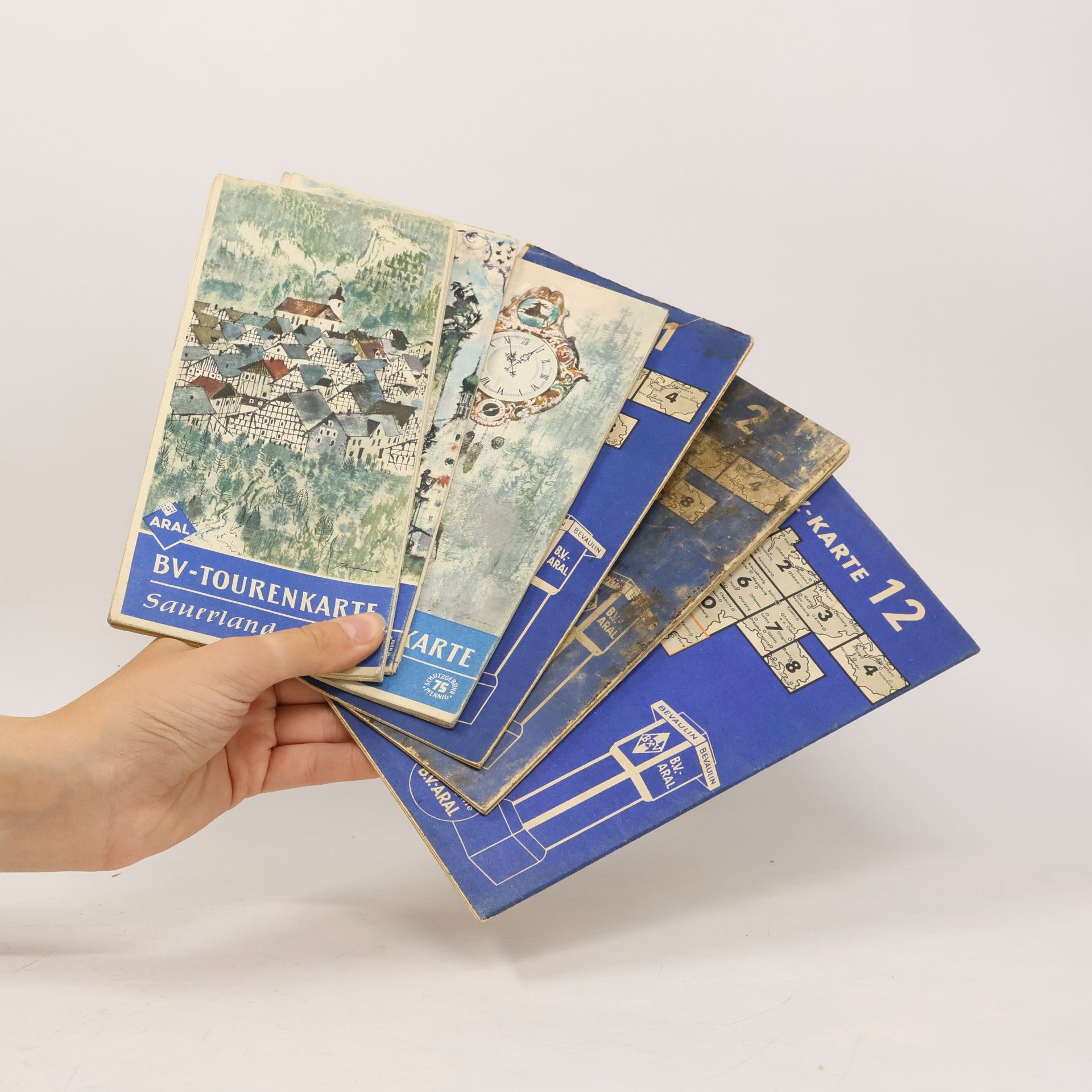 Autorenkollektiv BV-Tourenkarte Sauerland