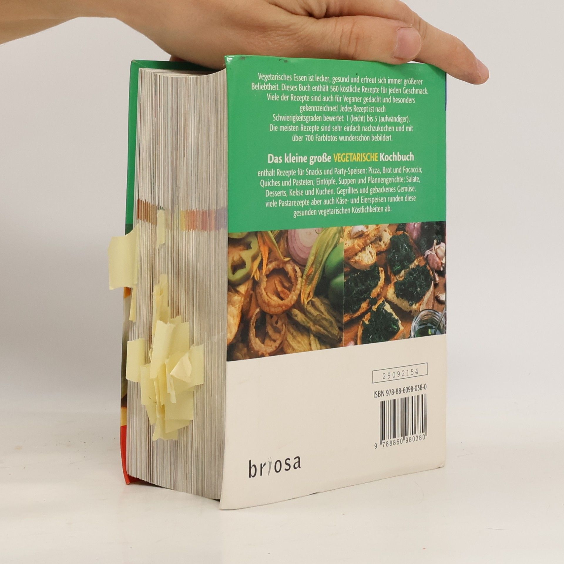 Das kleine große Vegetarische Kochbuch