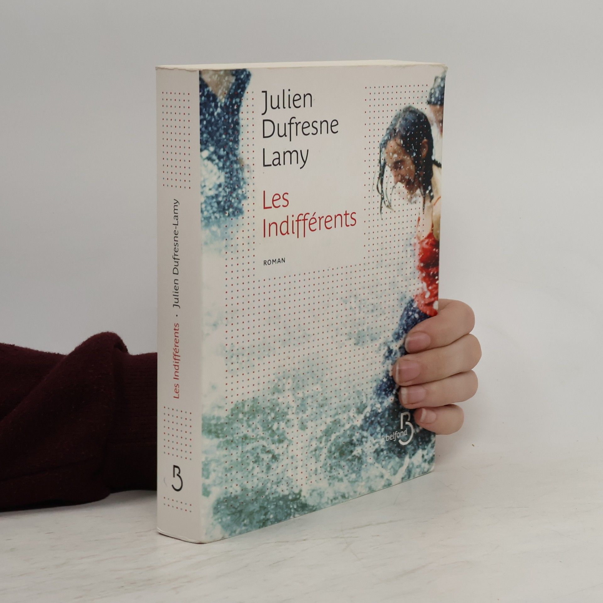 Julien Dufresne-Lamy Les Indifférents