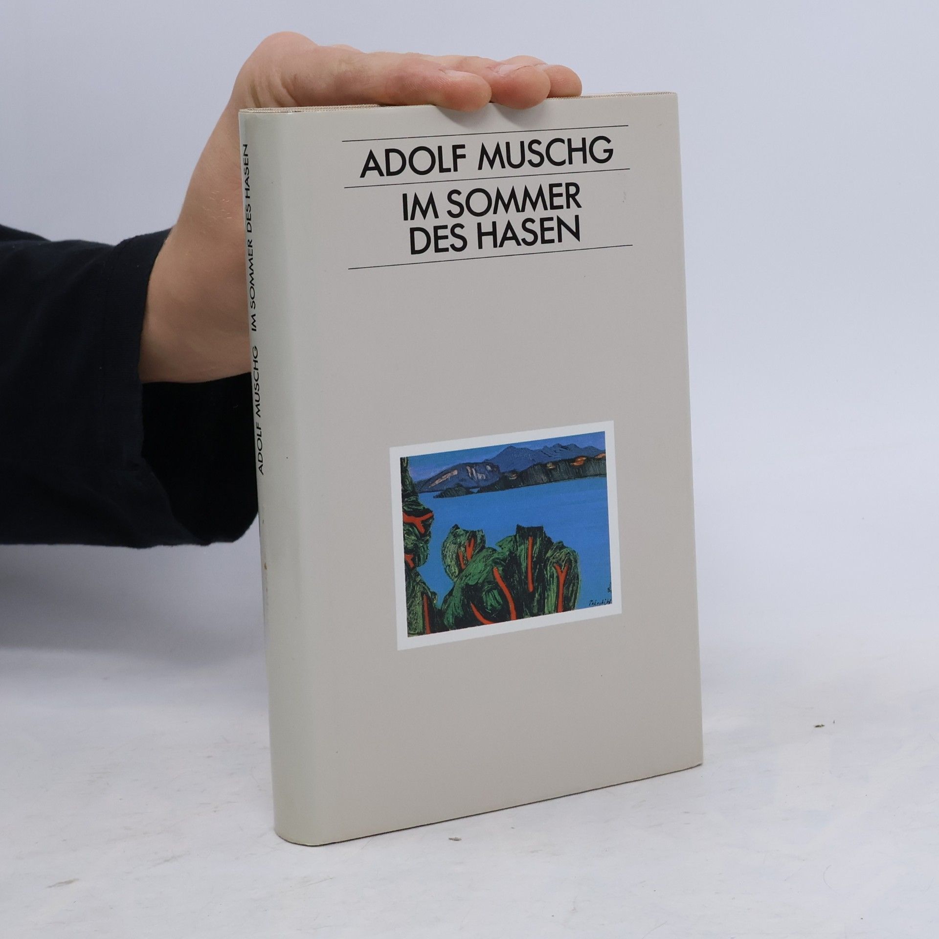 Adolf Muschg Im Sommer des Hasen