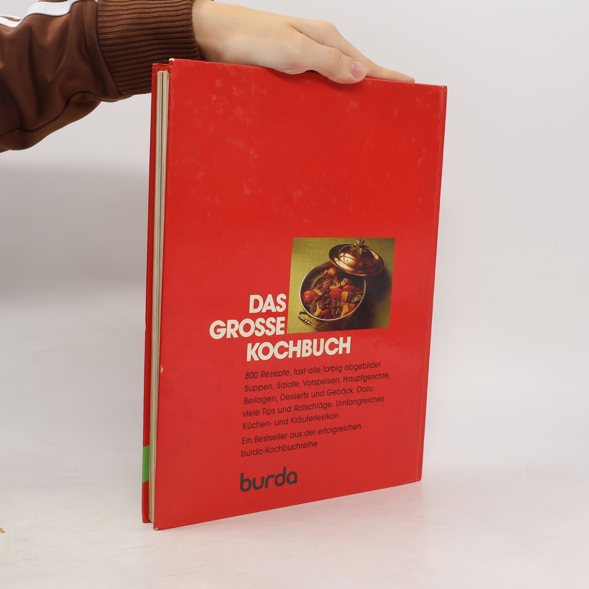 Renate Derndinger Das grosse Kochbuch