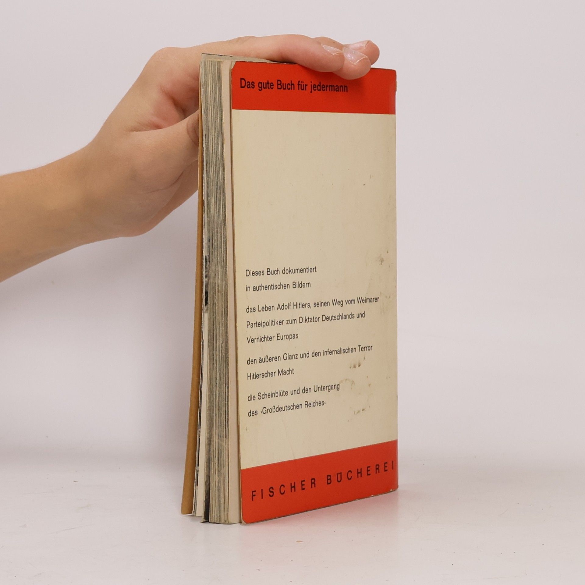 Erwin Leiser Mein Kampf