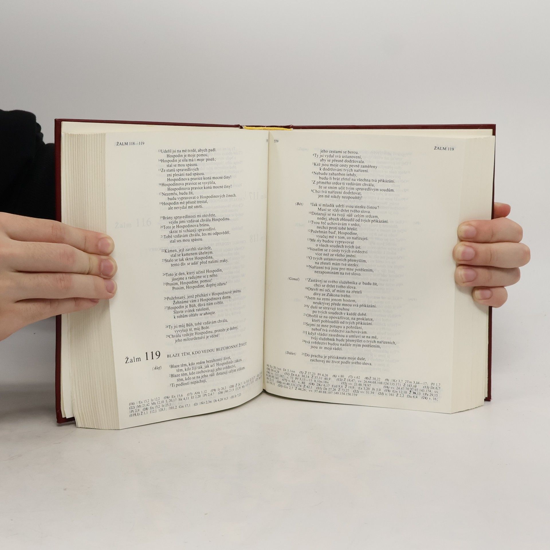 Kolektiv autorů Bible. Písmo svaté Starého i Nového zákona. Ekumenický překlad