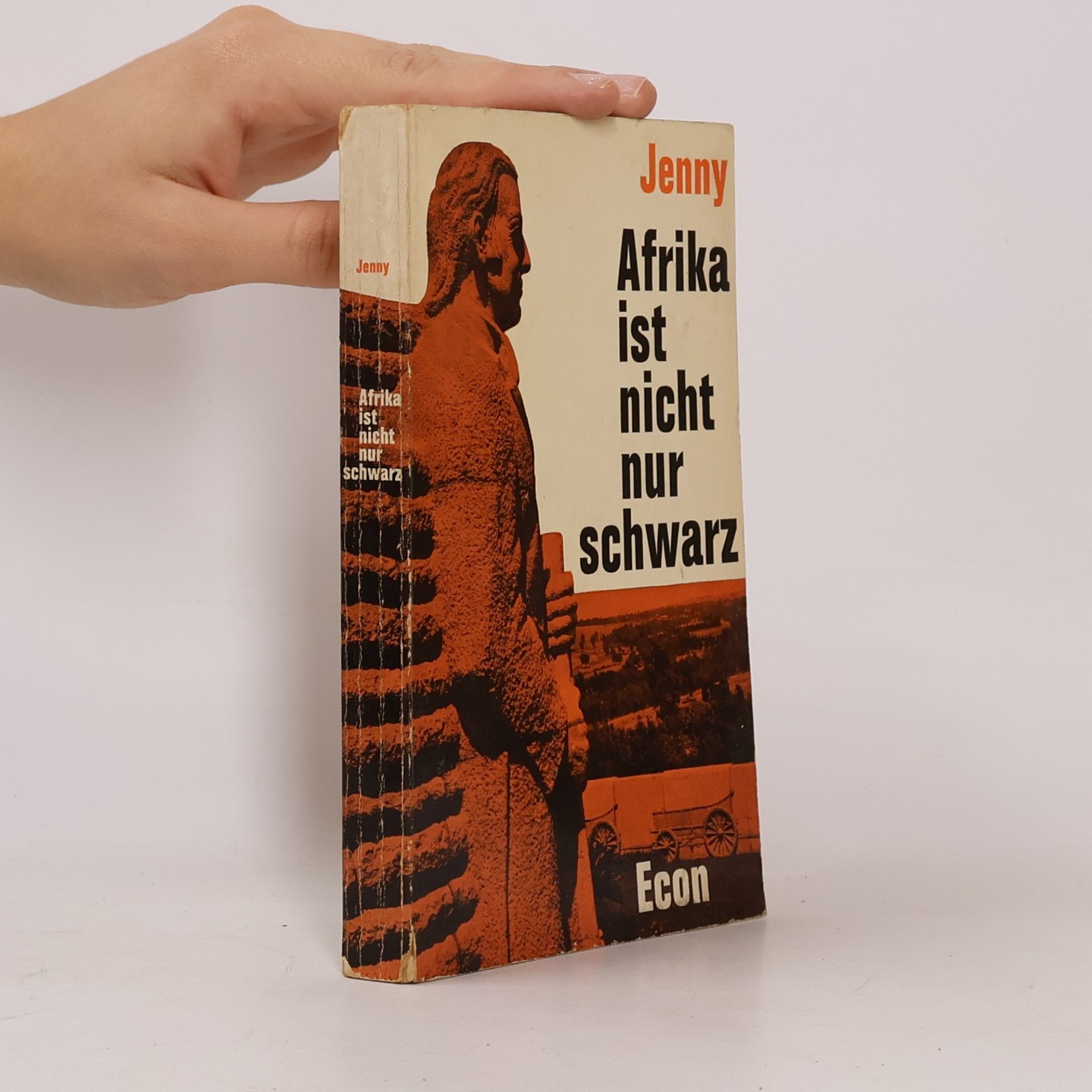 Autores varios Afrika ist nicht nur schwarz
