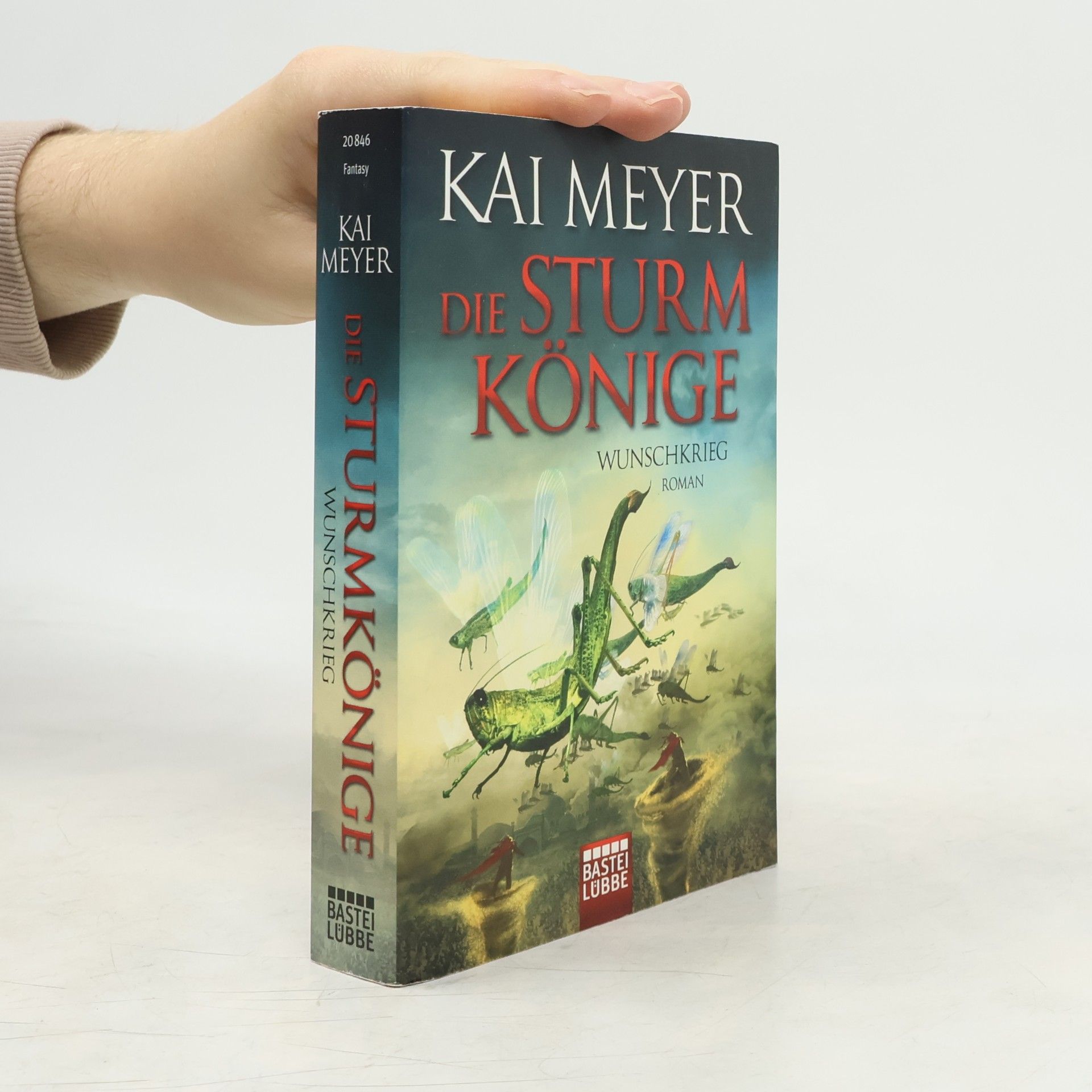 Kai Meyer Wunschkrieg