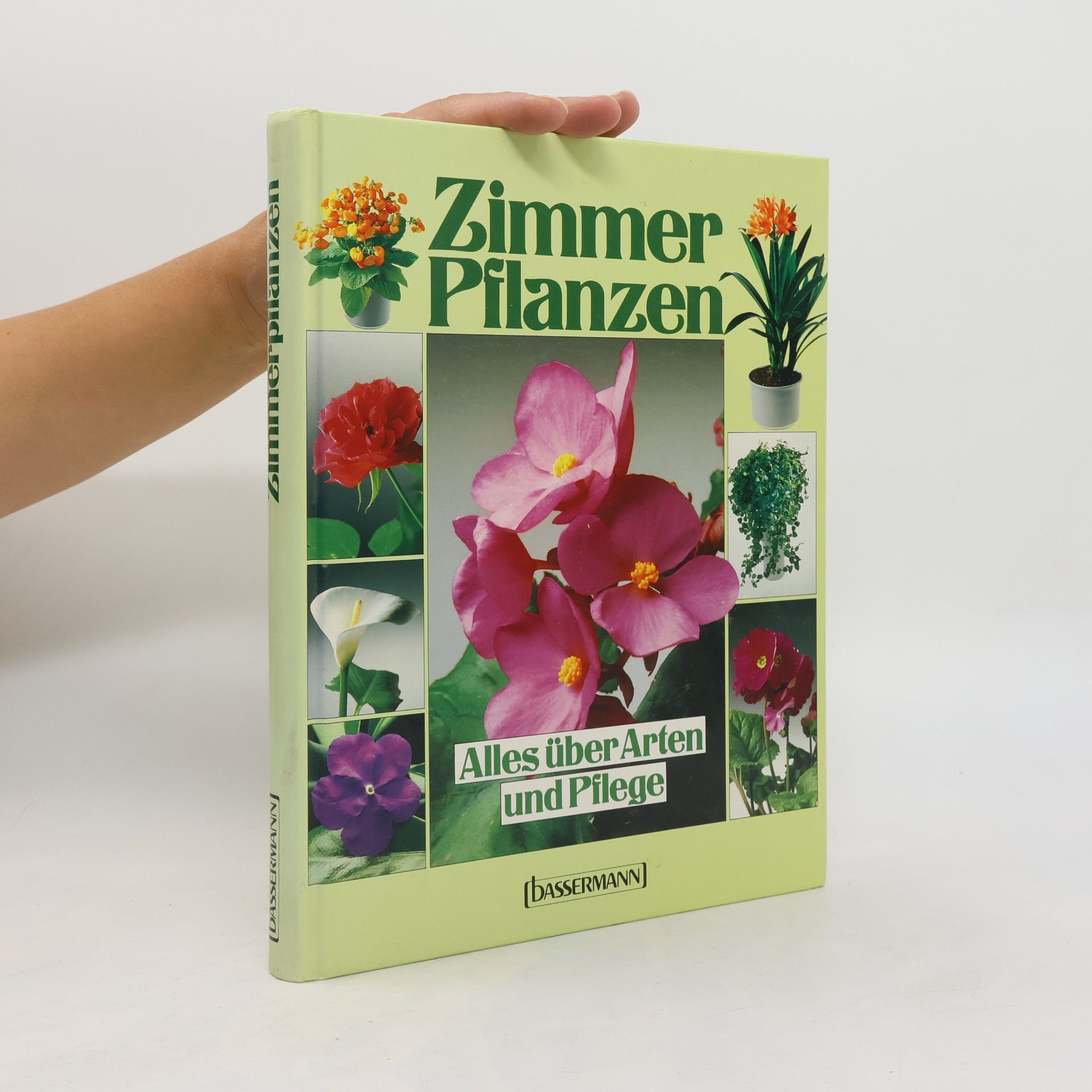 Notger Kiesel Zimmerpflanzen