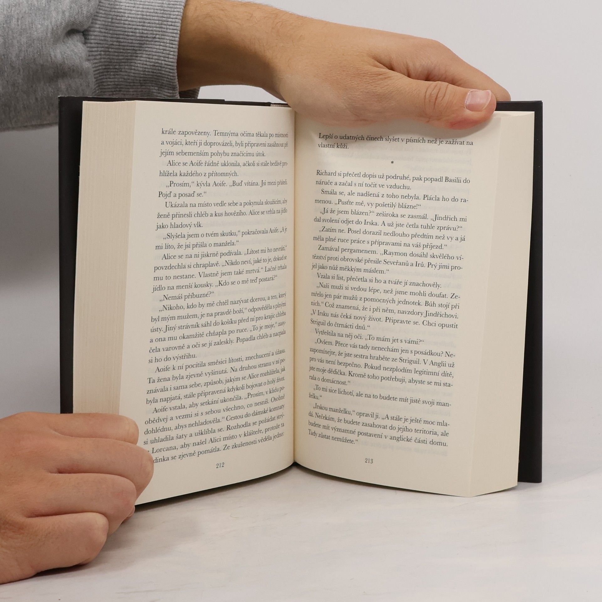 Elizabeth Chadwick Irská princezna