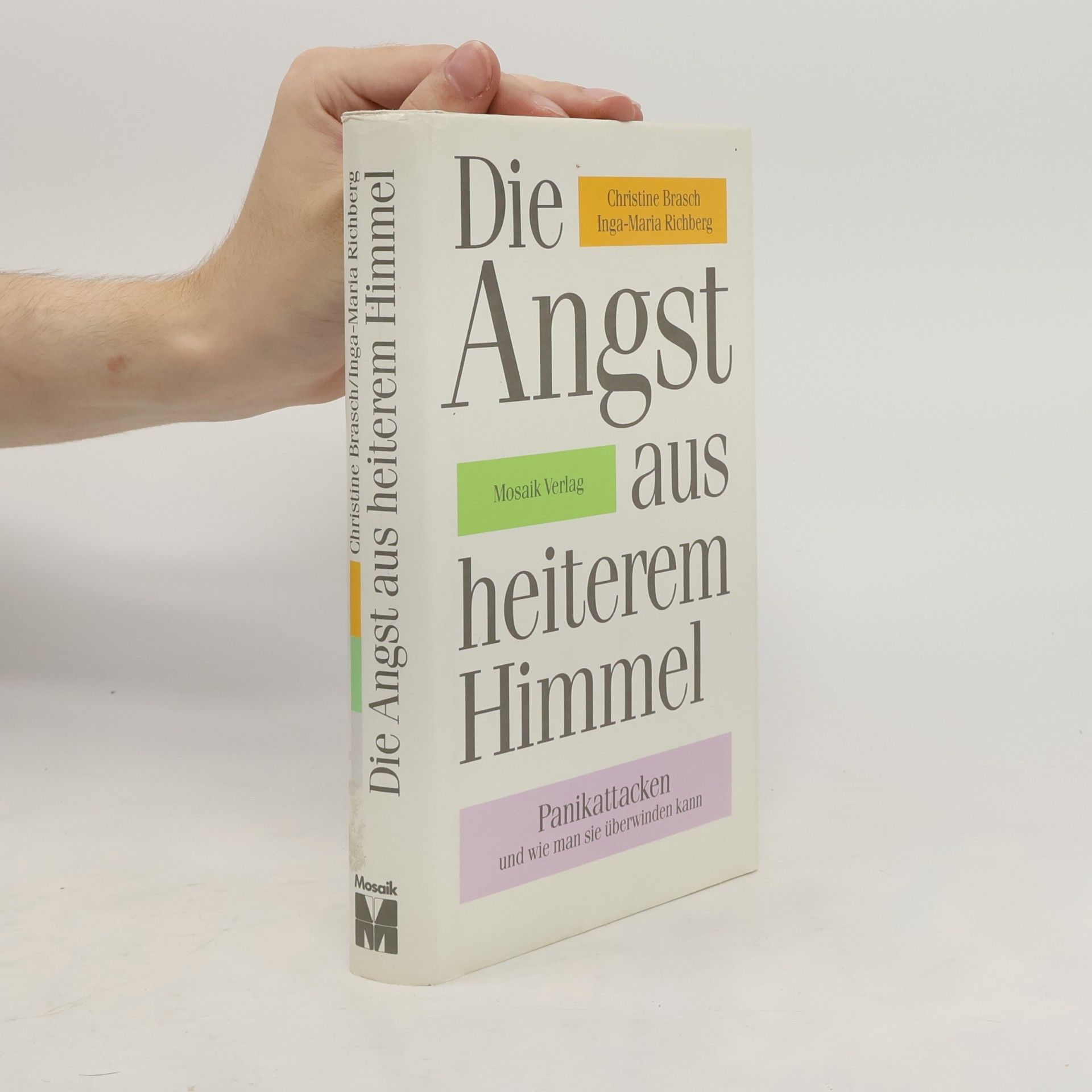 Christine Brasch Die Angst aus heiterem Himmel