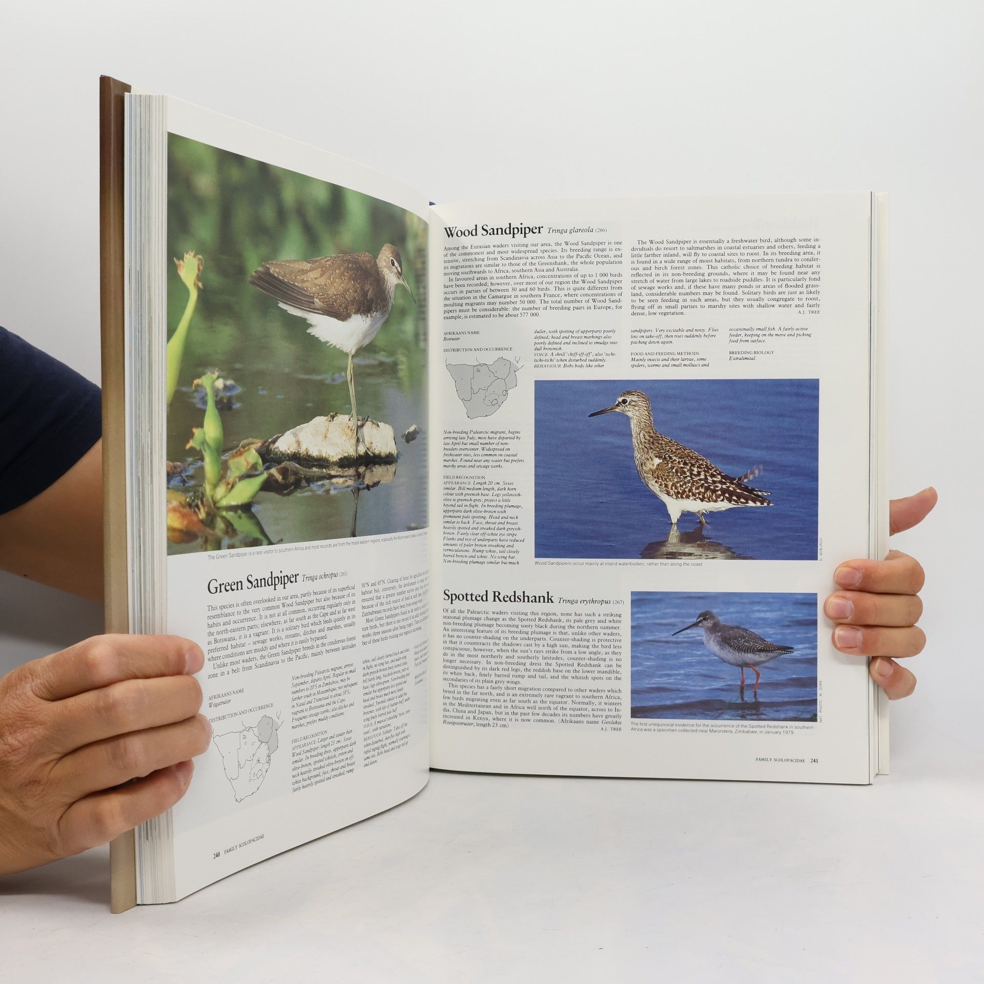 Peter Milstein The Complete Book of Southern African Birds