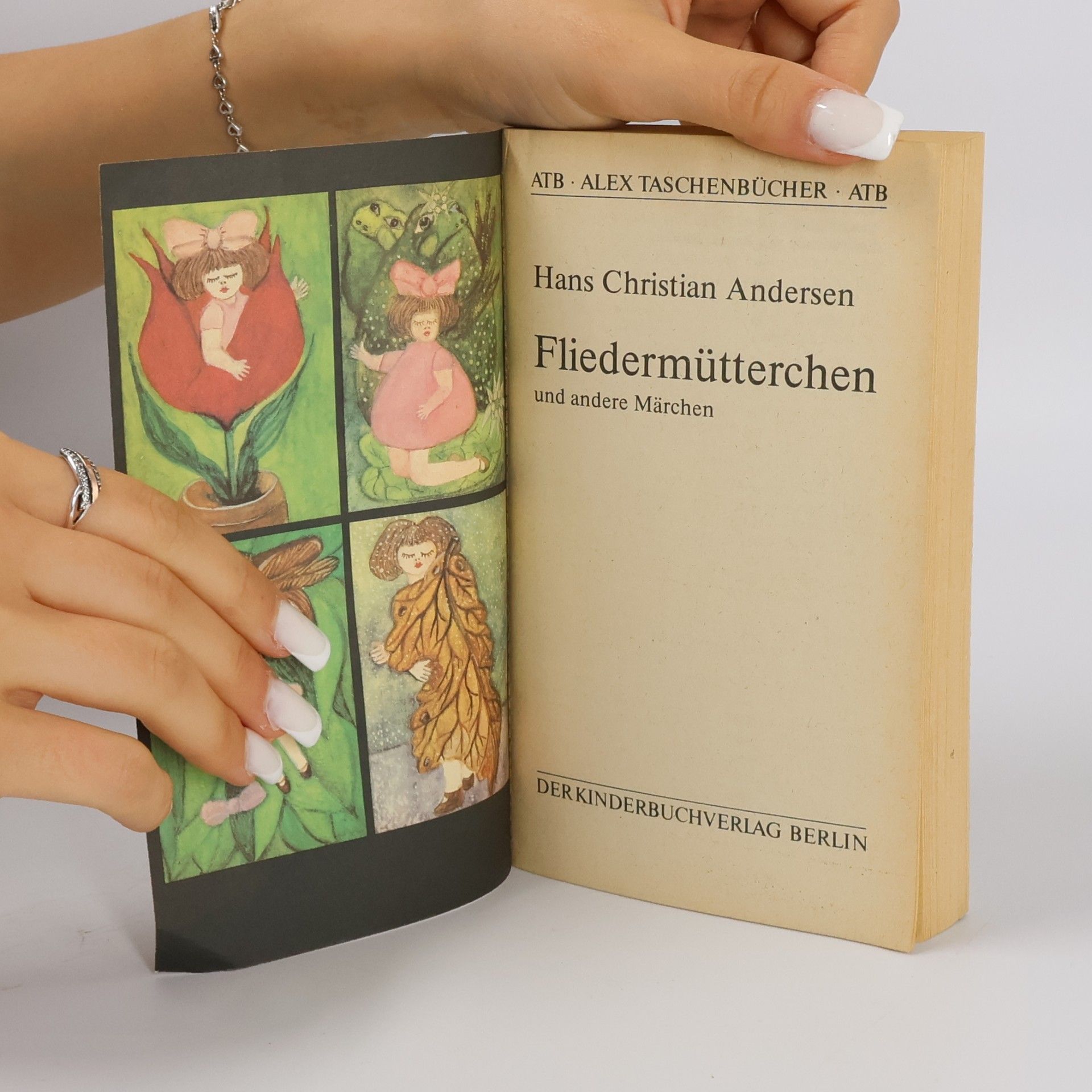 Hans-Christian Andersen Fliedermütterchen und andere Märchen