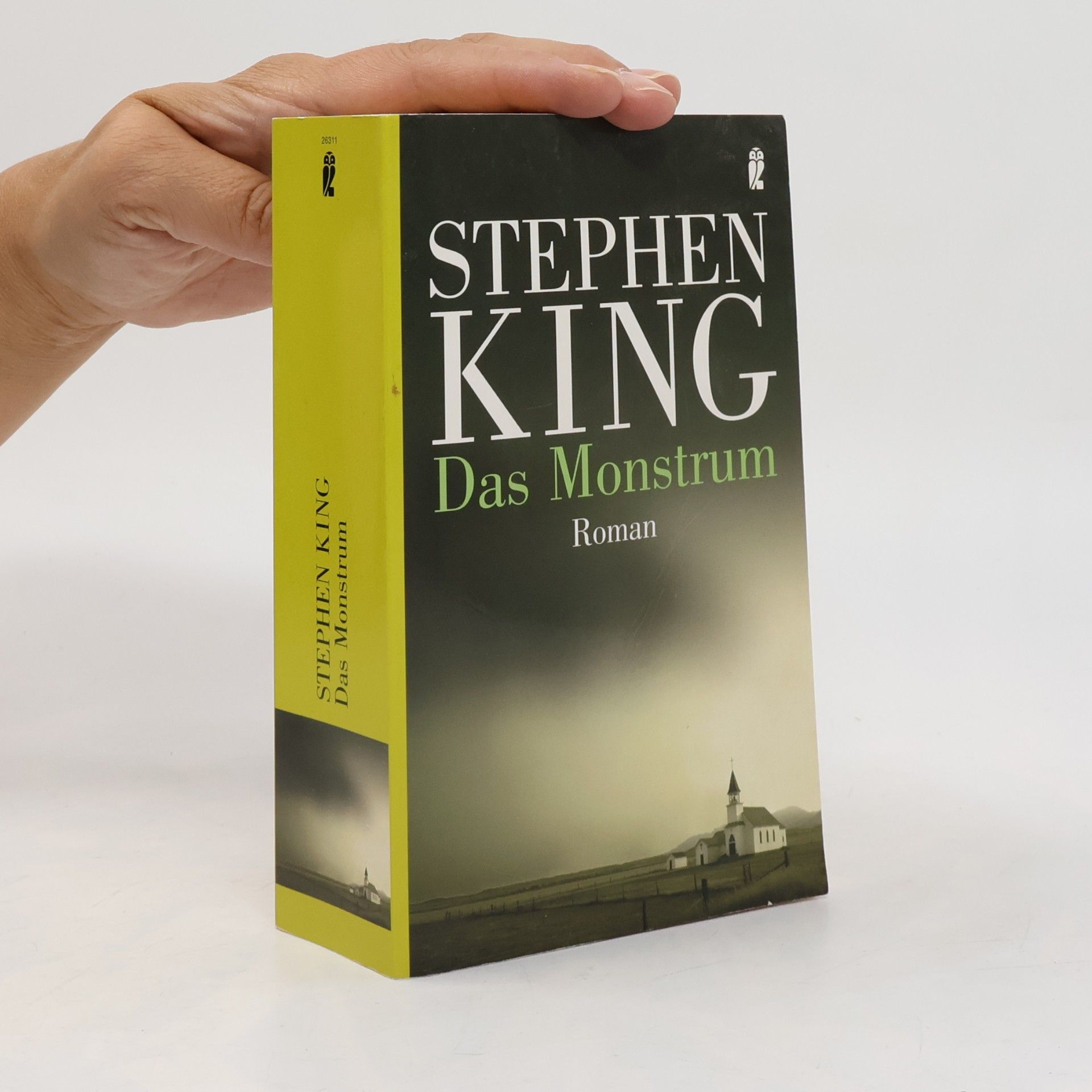 Stephen King Das Monstrum