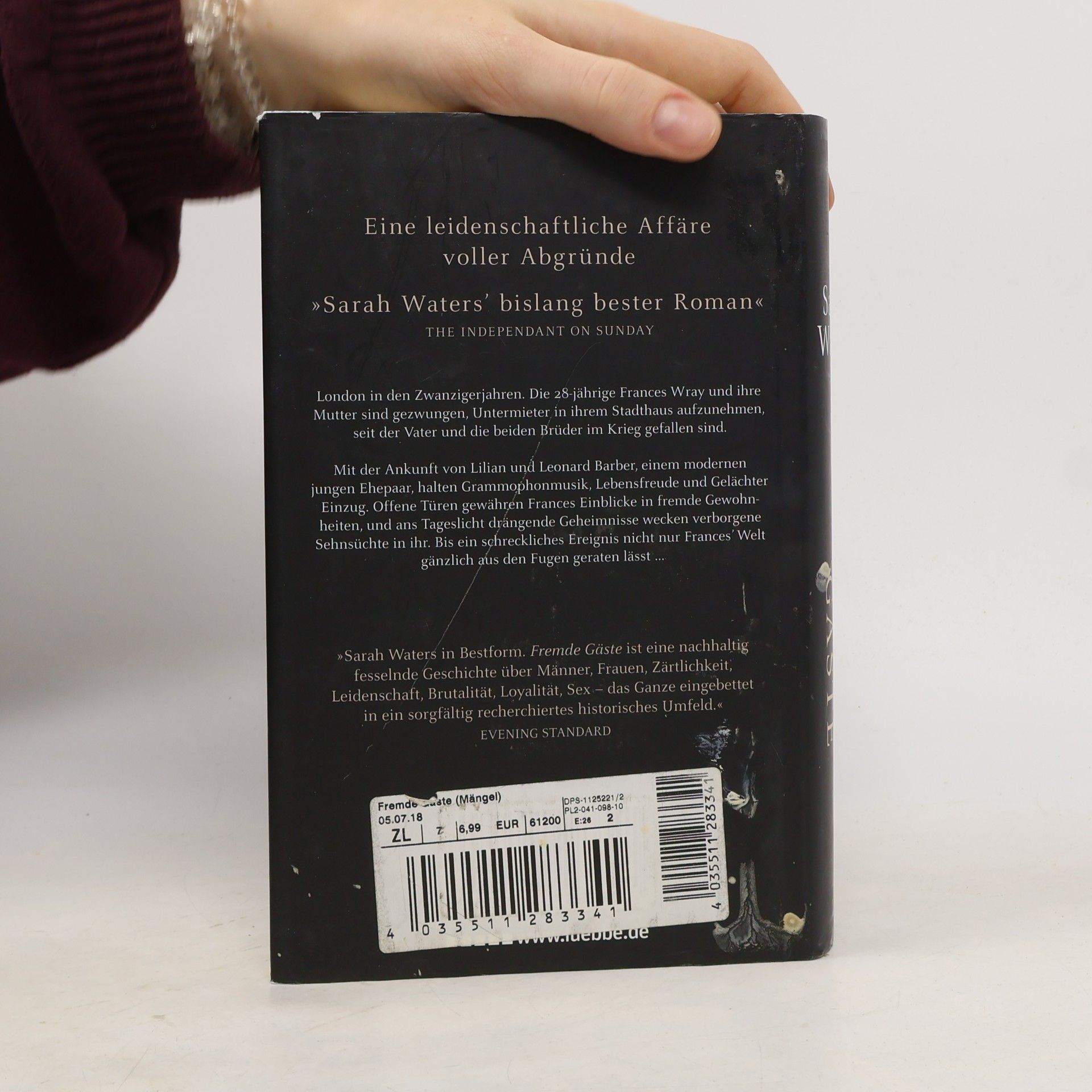 Sarah Waters Fremde Gäste