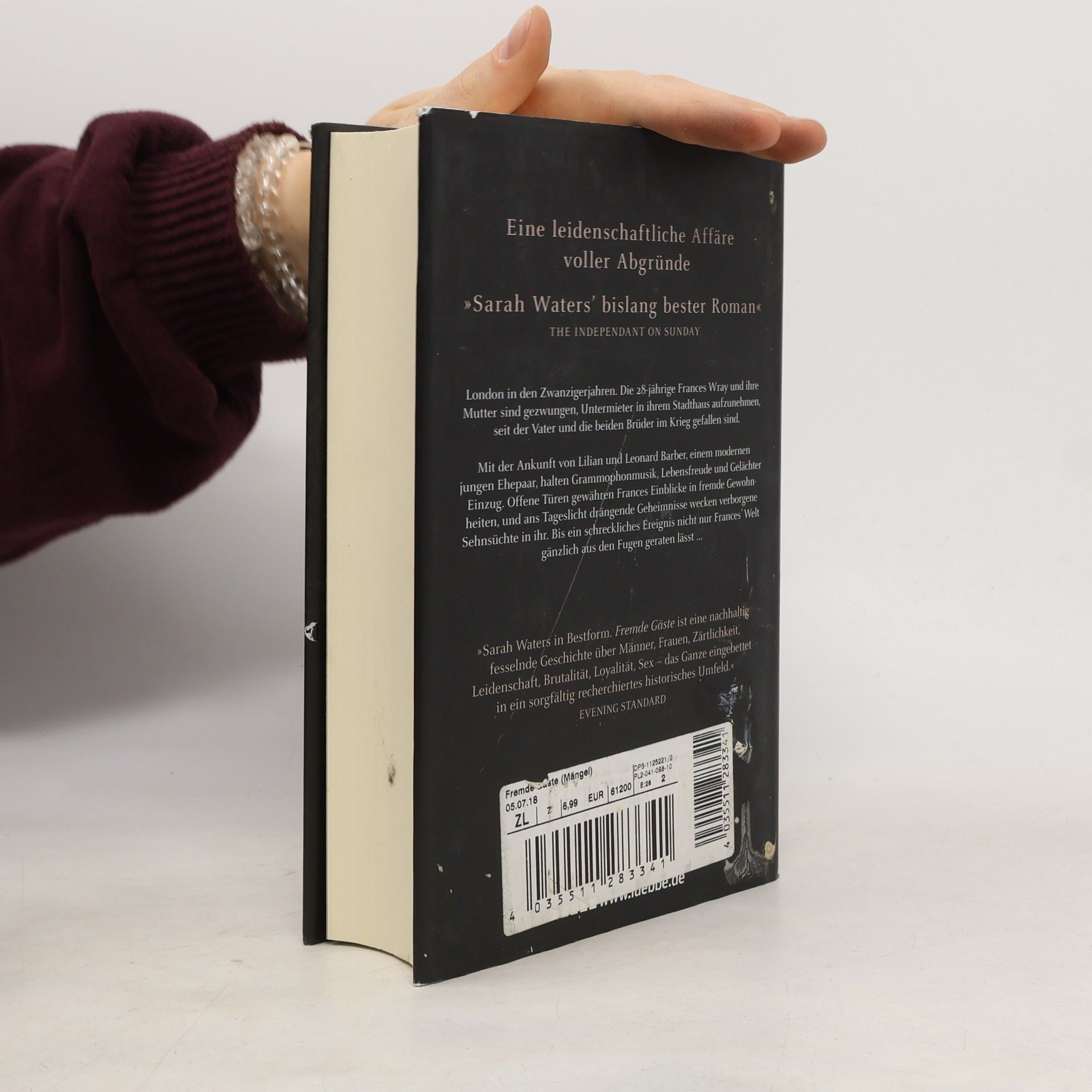 Sarah Waters Fremde Gäste
