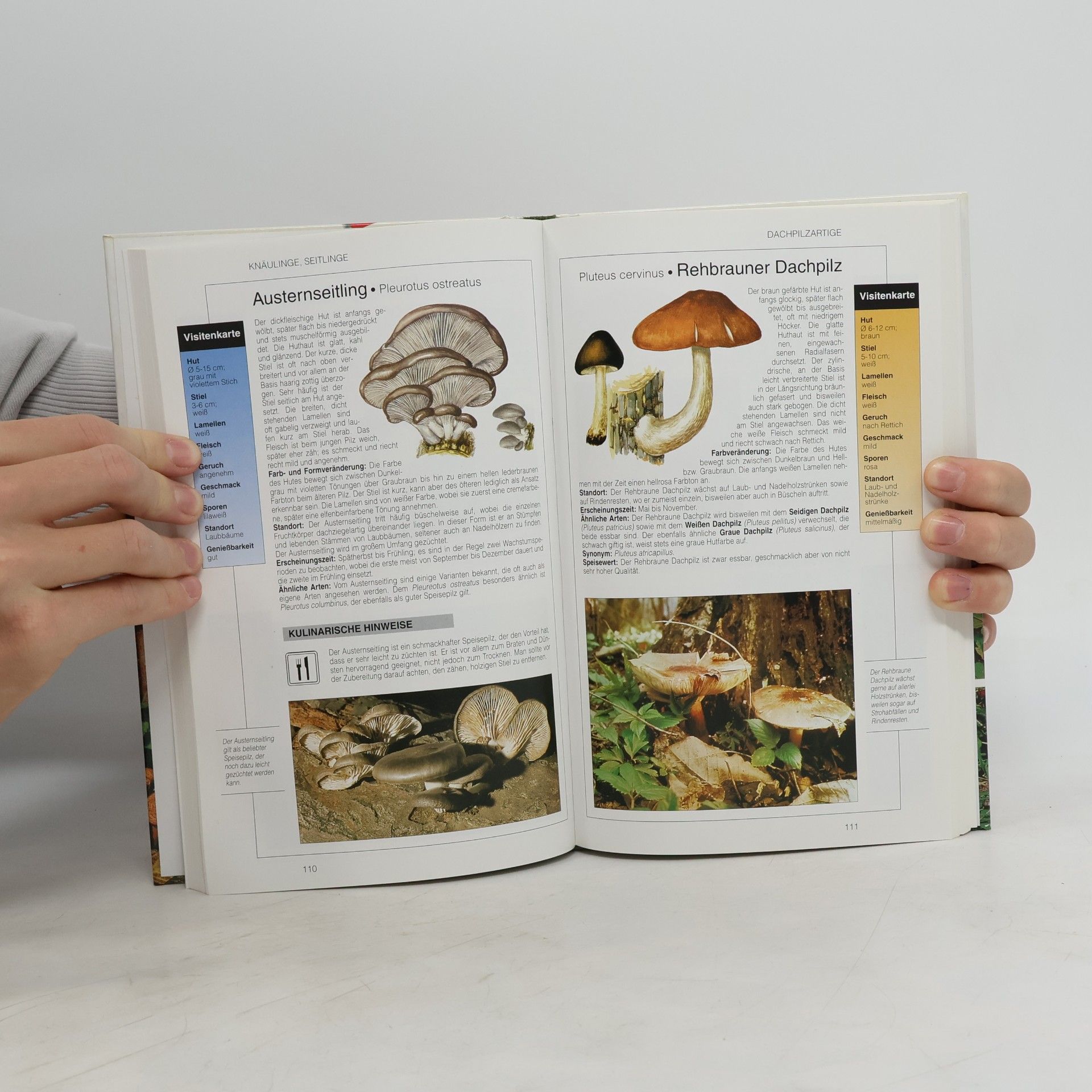 Various authors Pilze. Ein umfassender Ratgeber zum Bestimmen und Sammeln von Pilzen.