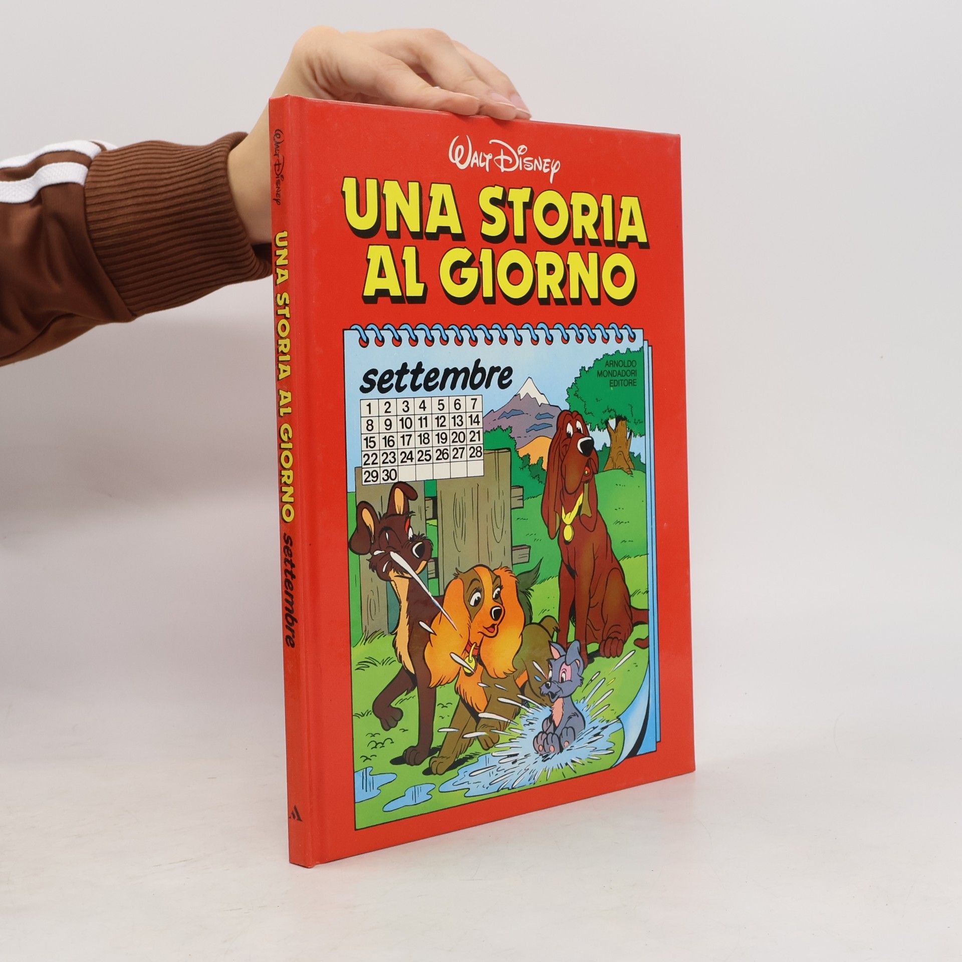Autores varios Una Storia Al Giorno
