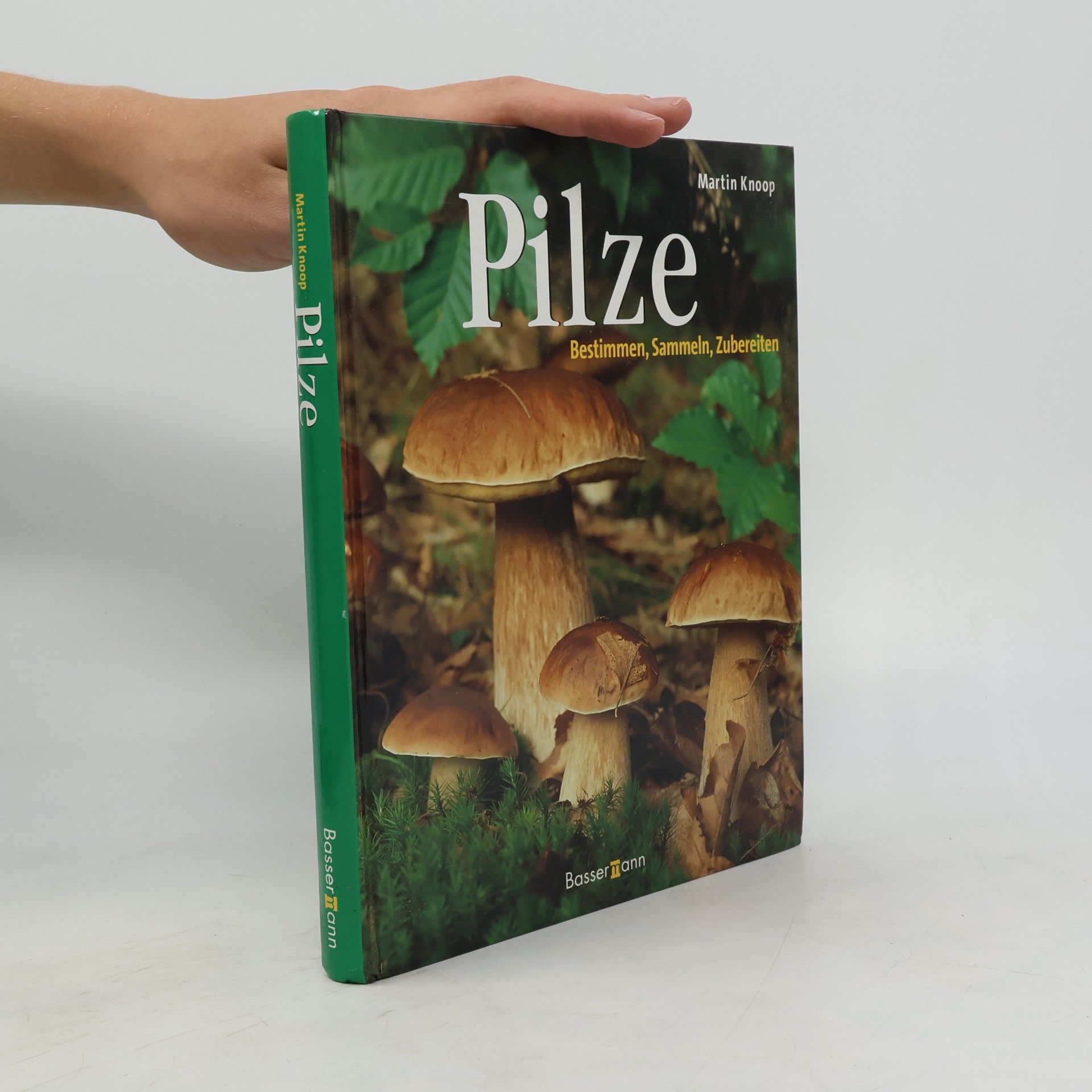 Martin Knoop Pilze