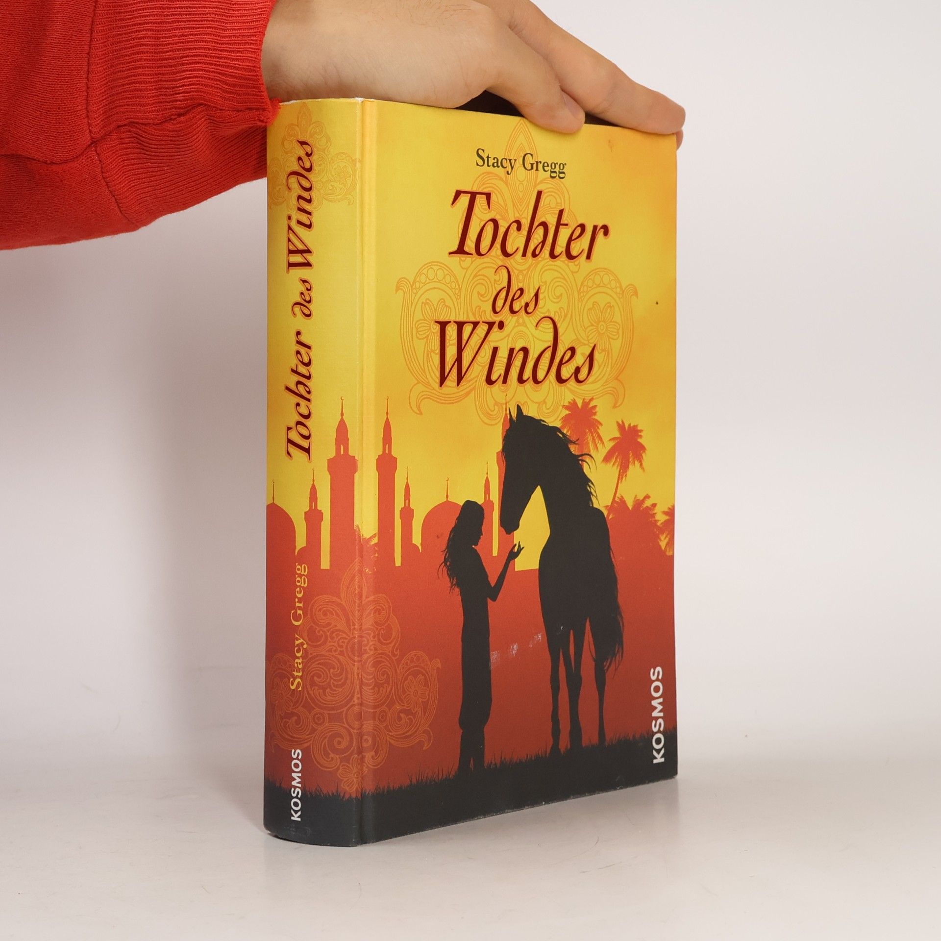 Stacy Gregg Tochter des Windes