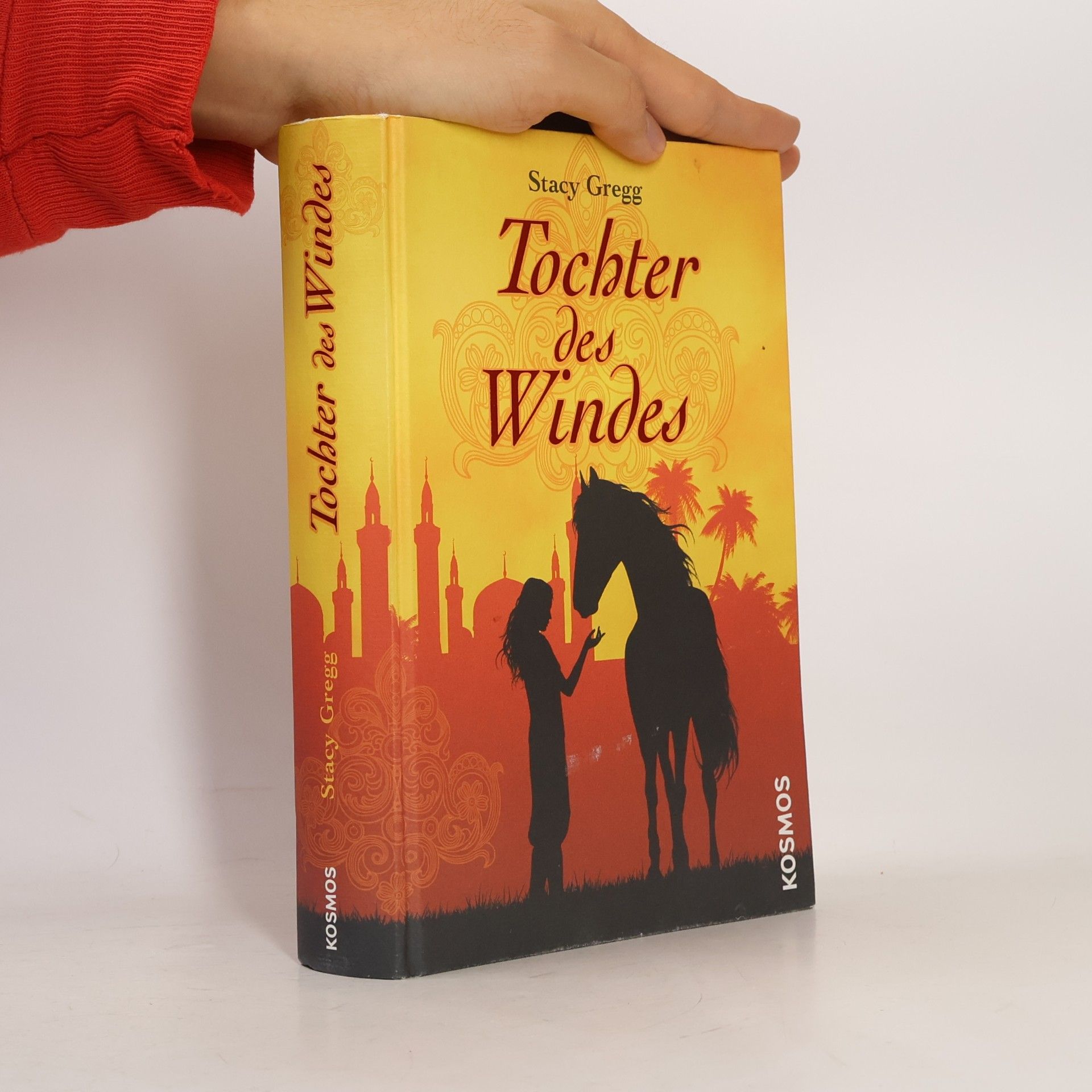 Stacy Gregg Tochter des Windes