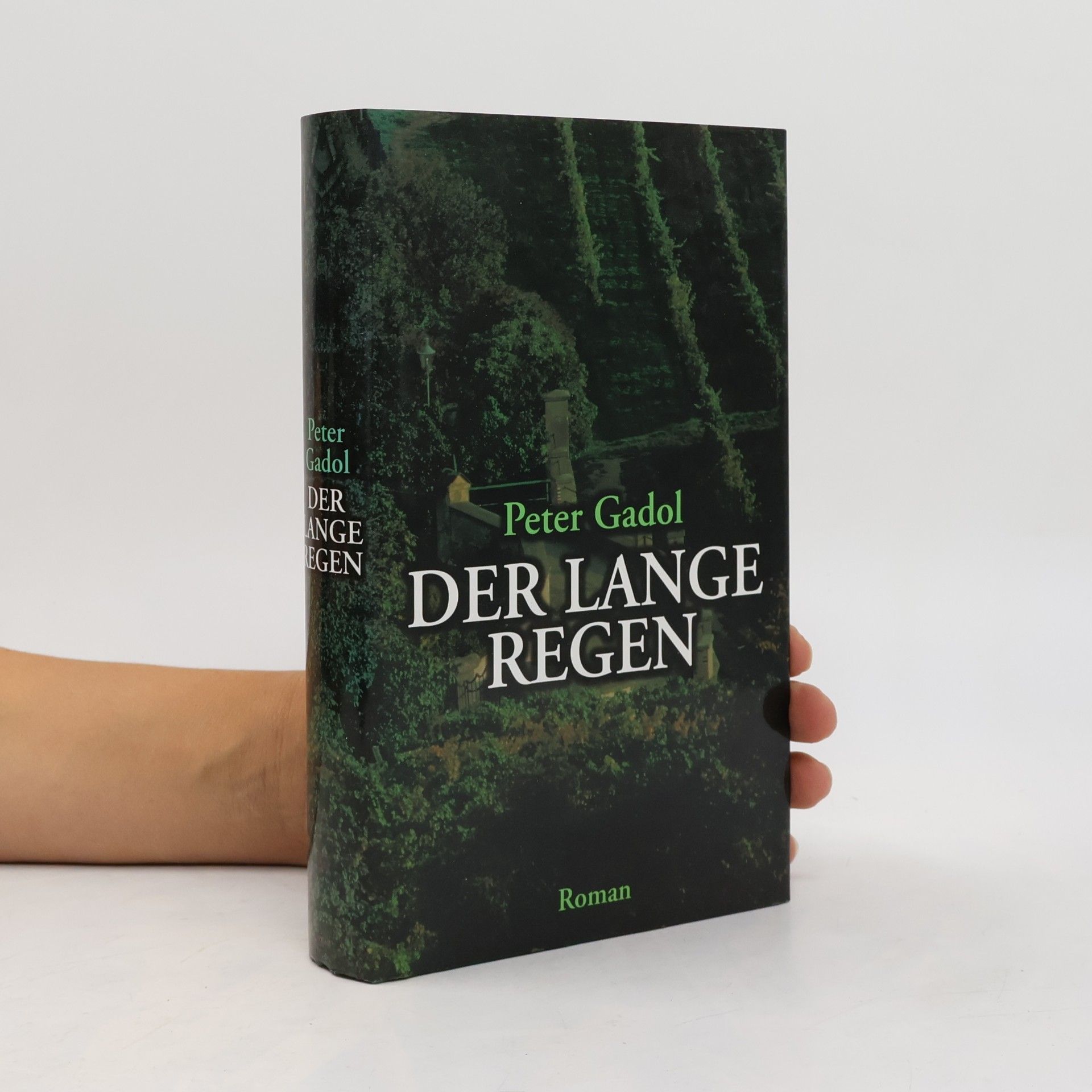 Peter Gadol Der lange Regen