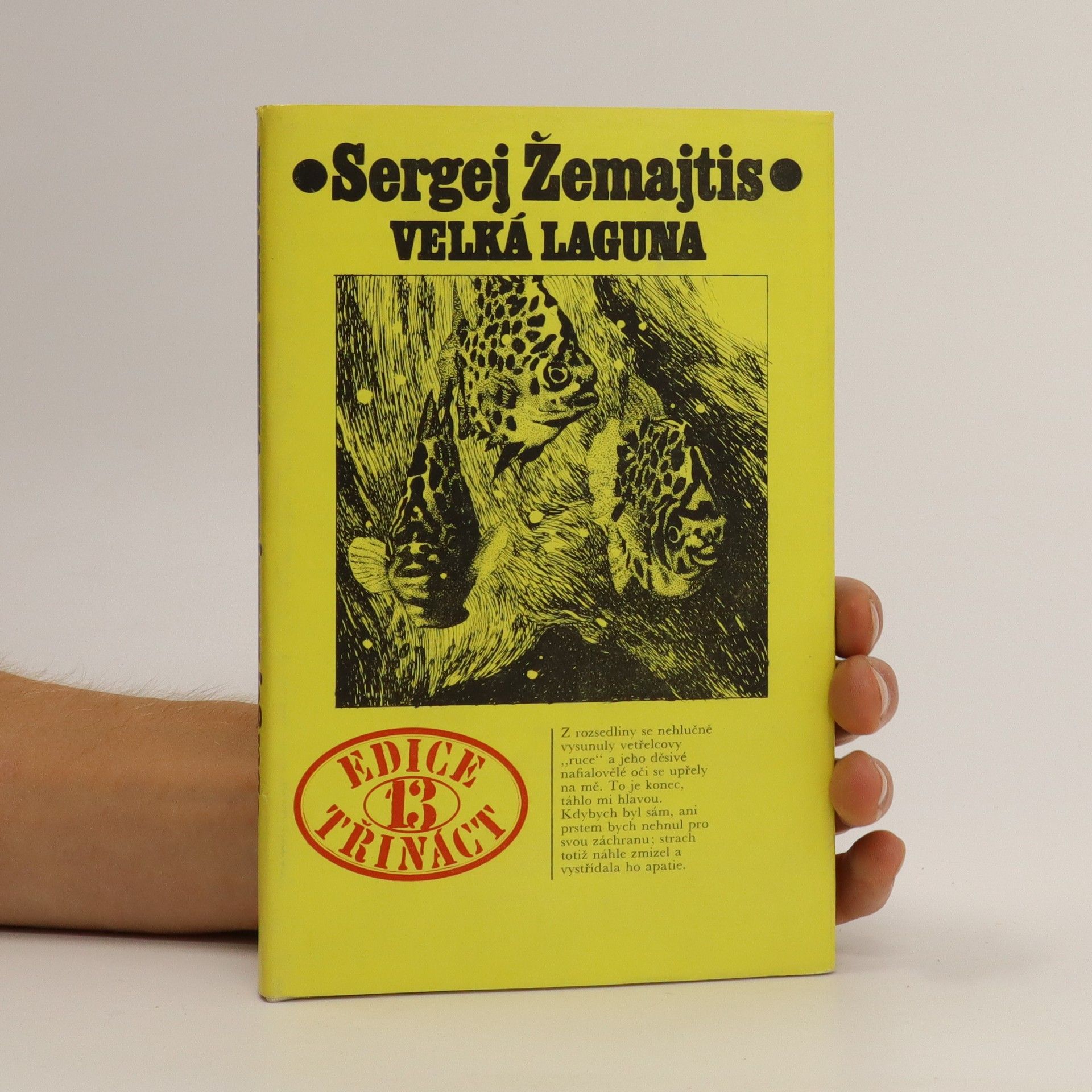 Sergej Georgijevič Žemajtis Velká laguna