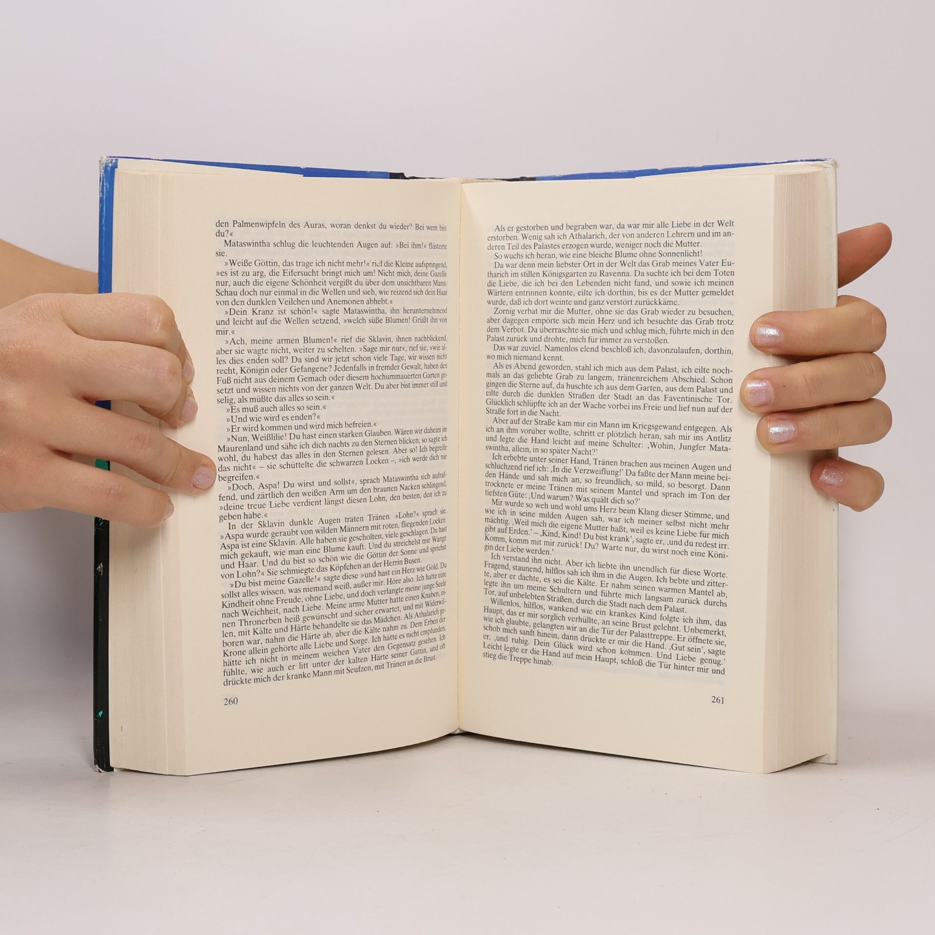 Felix Dahn Ein Kampf um Rom