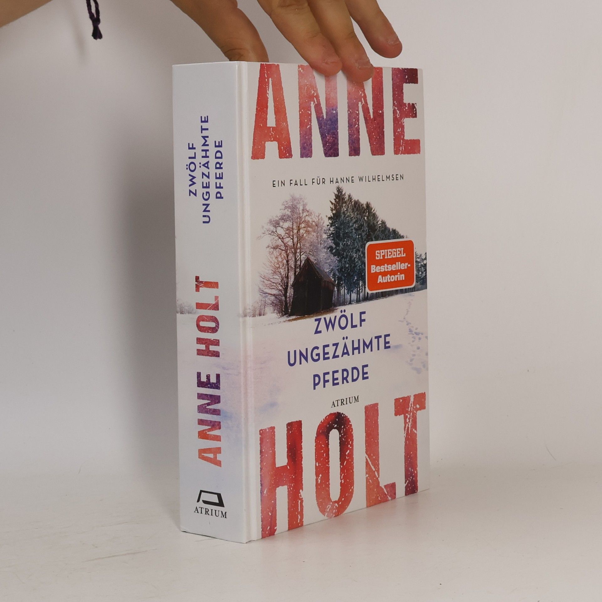 Anne Holt Ein Fall für Hanne Wilhelmsen: Zwölf ungezähmte Pferde
