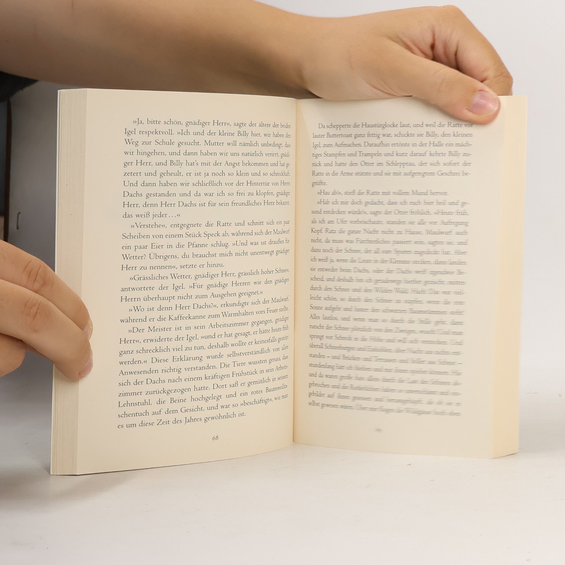 Kenneth Grahame Der Wind in den Weiden