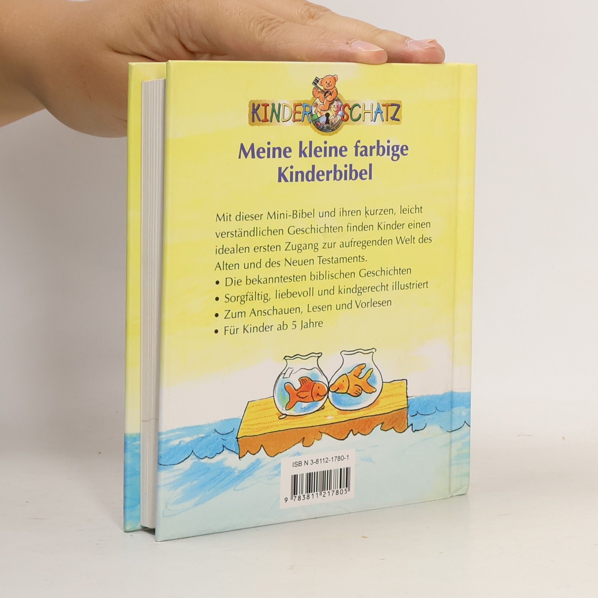 Tim Wood Meine kleine farbige Kinderbibel