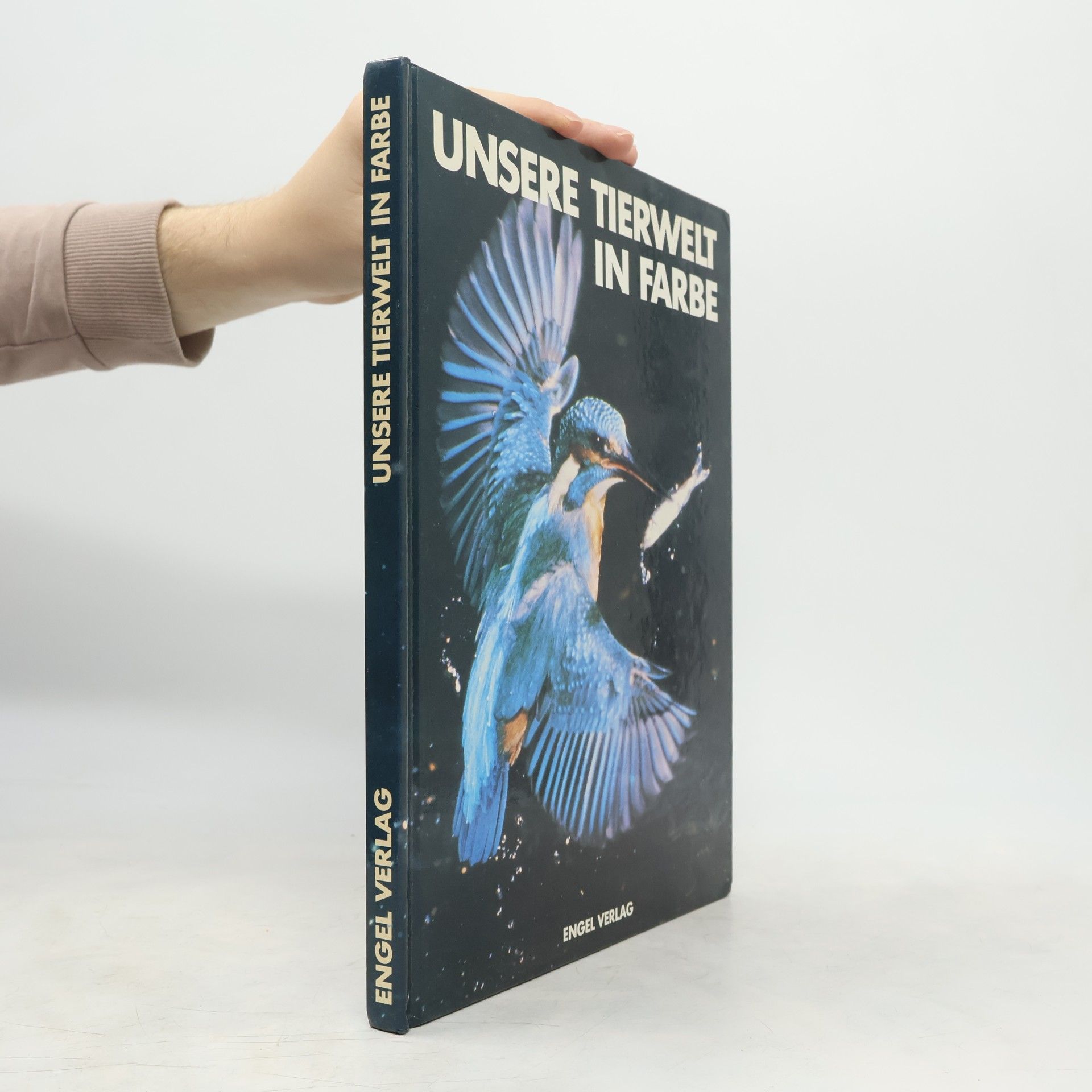 Friedrich Sauer Unsere Tierwelt in Farbe