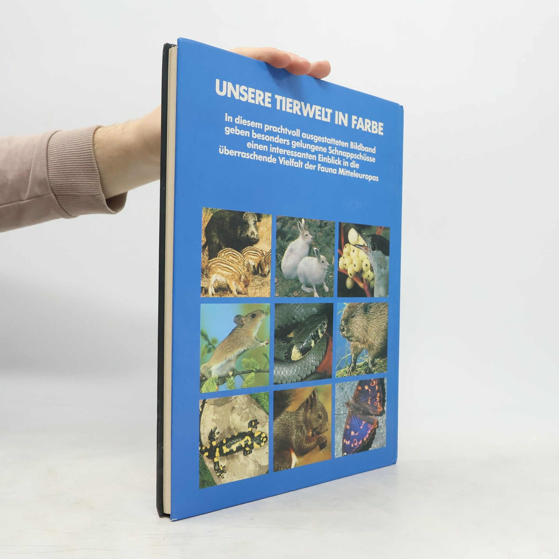 Theodor Haltenorth Unsere Tierwelt in Farbe