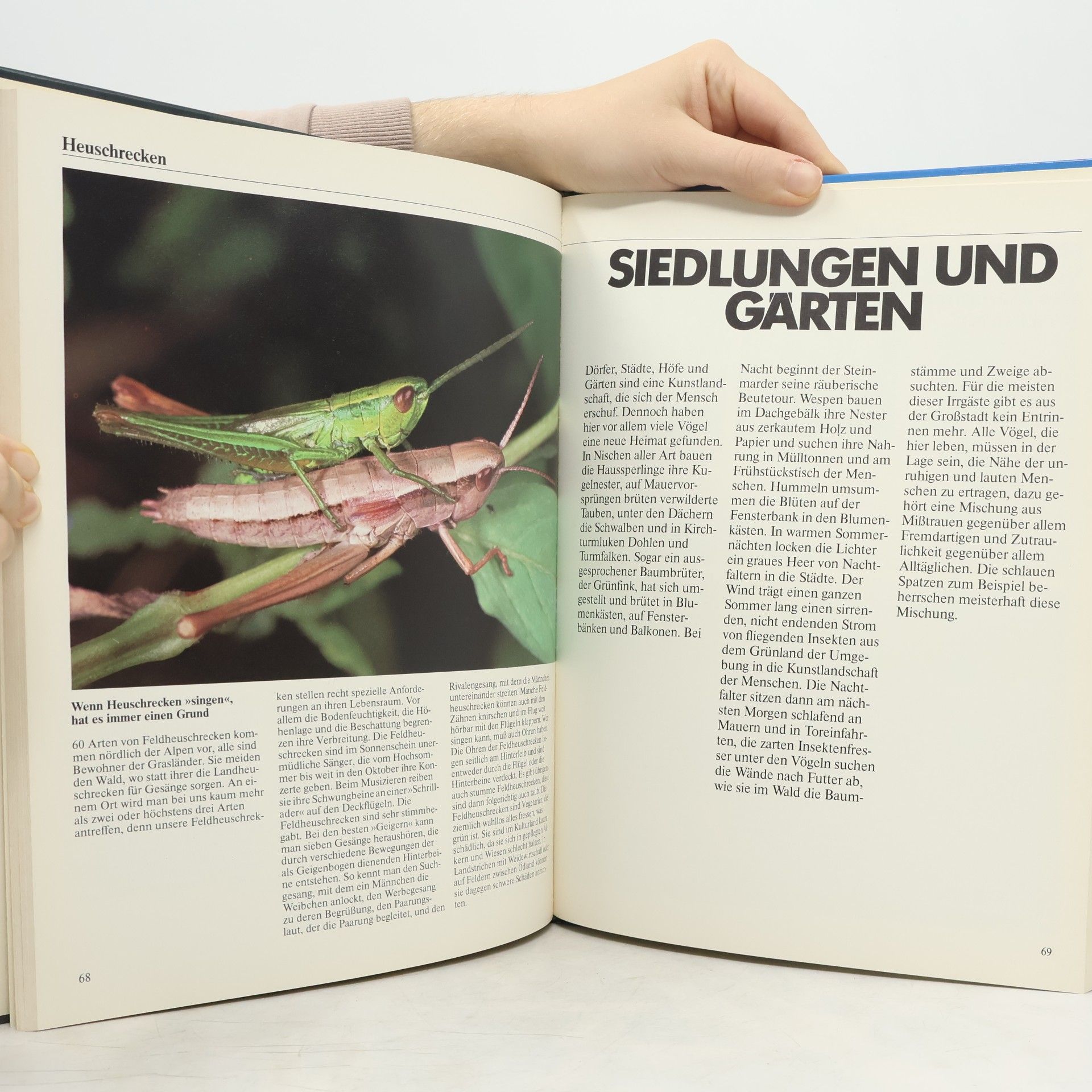 Theodor Haltenorth Unsere Tierwelt in Farbe