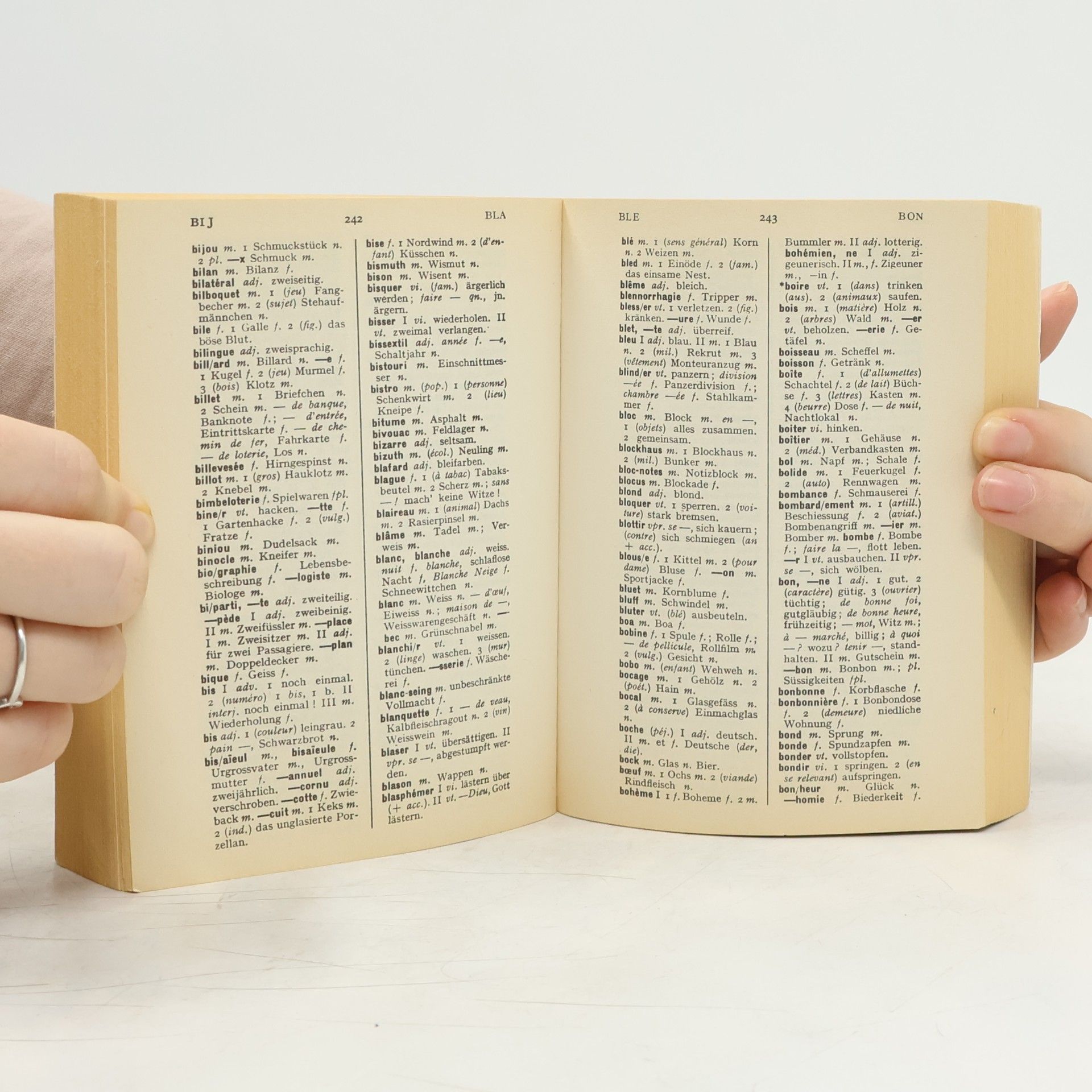 Kolektív autorov Wörterbuch Französisch