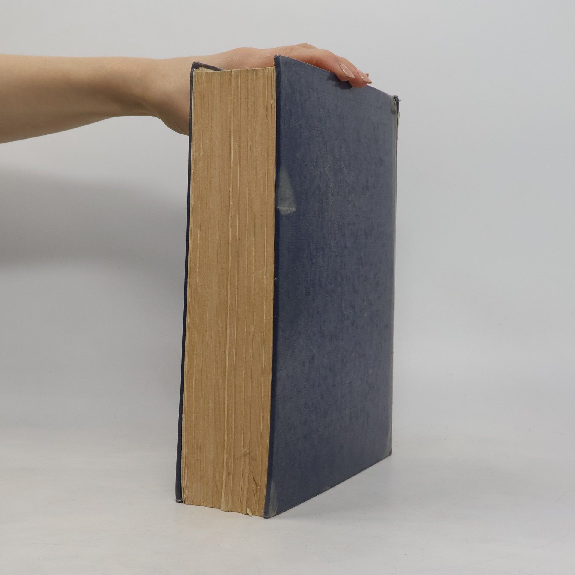 Erich Kosiol Handwörterbuch des Rechnungswesens