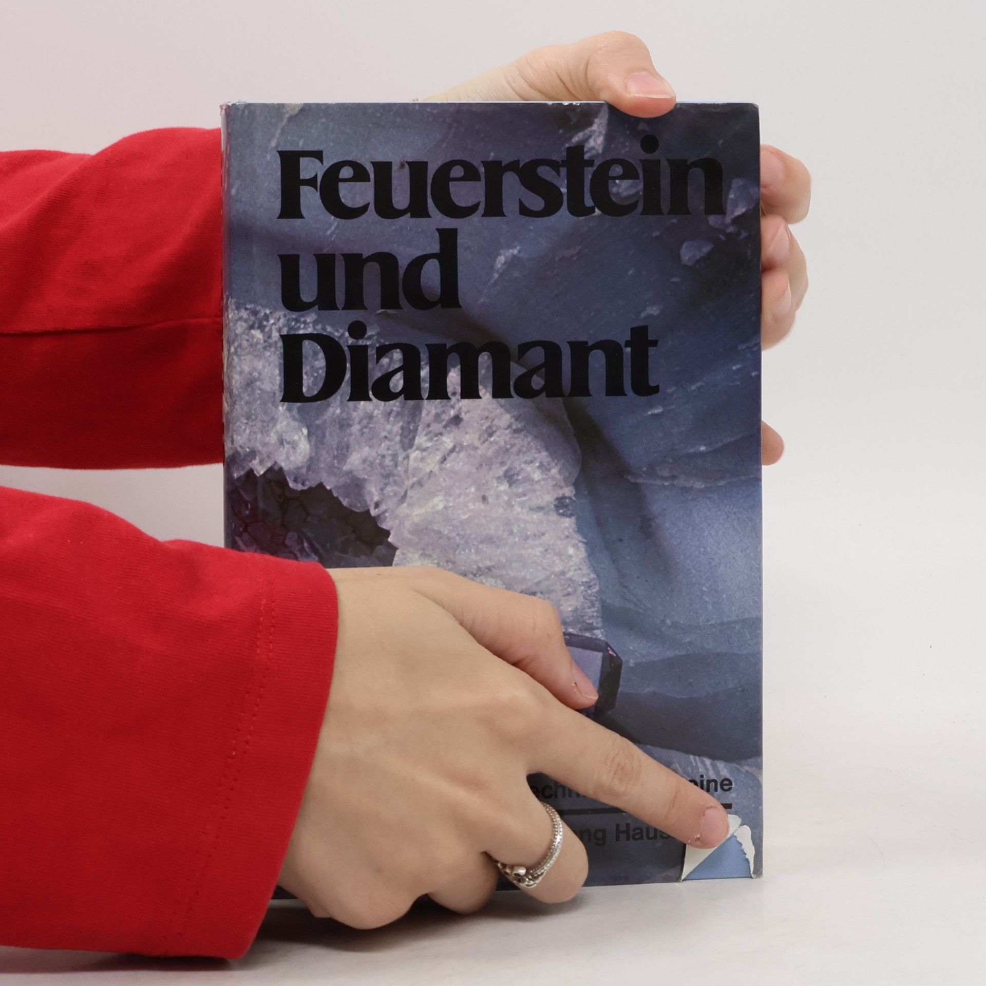 Wolfgang Hausmann Feuerstein und Diamant